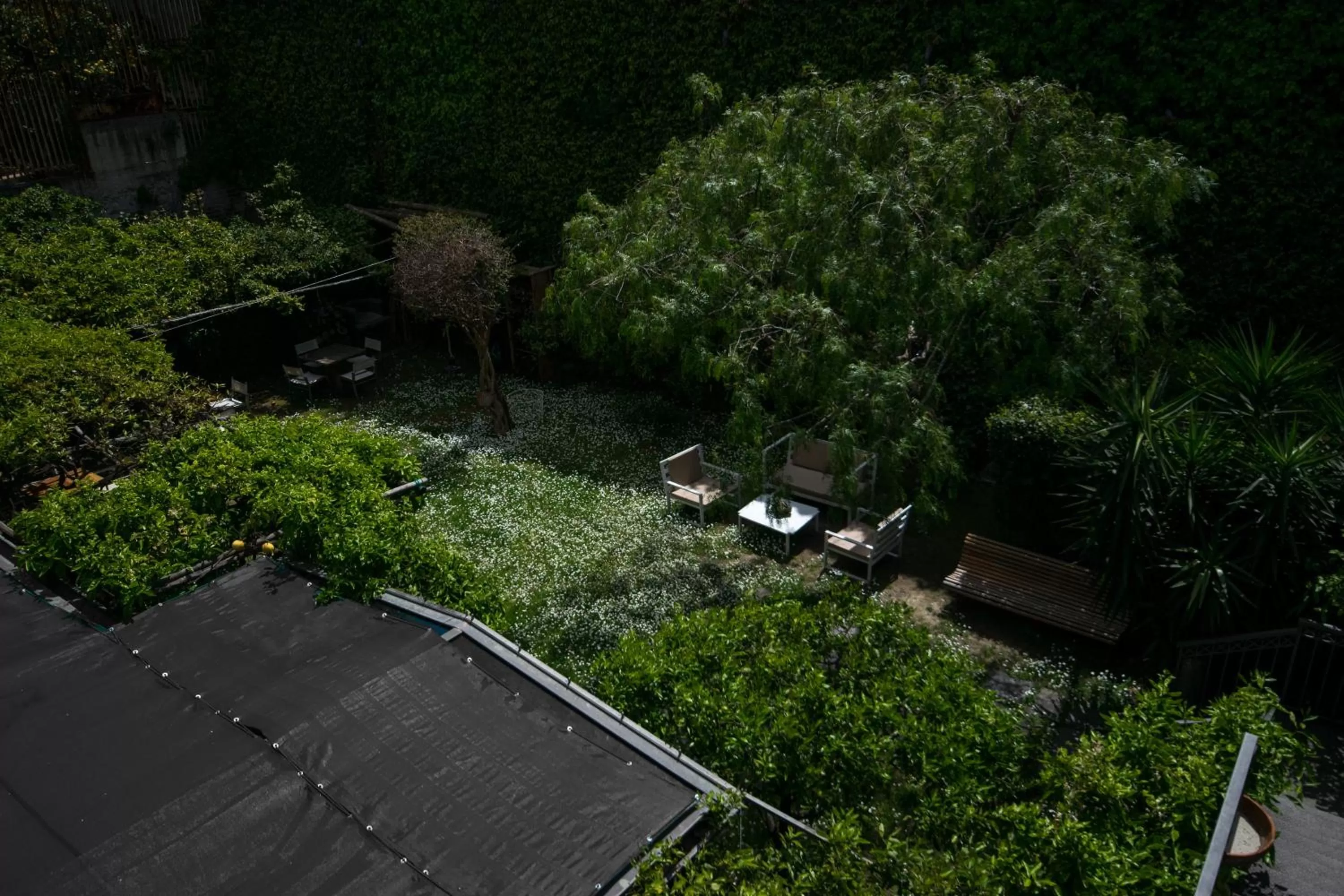 View (from property/room) in Hotel Forum