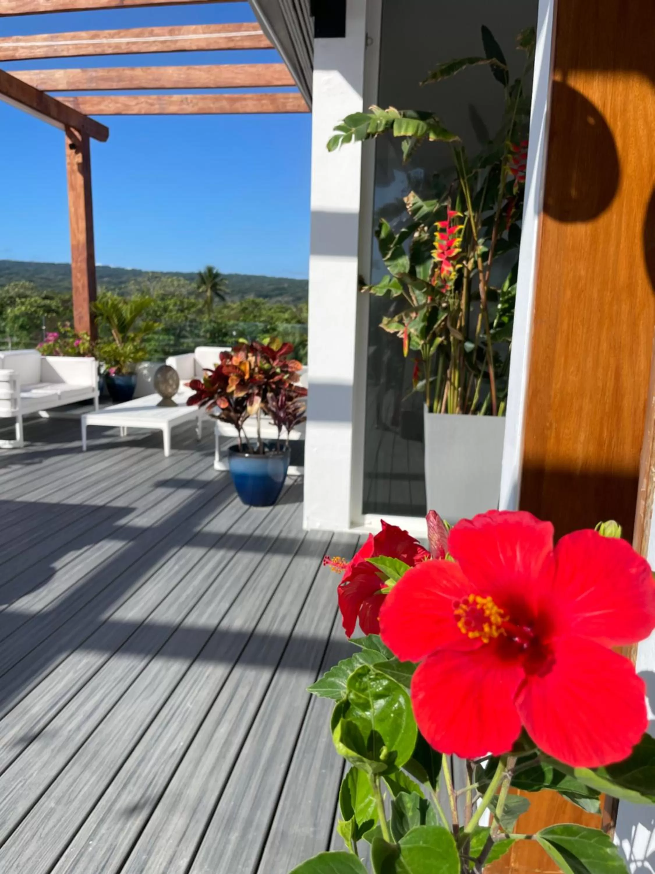 Spring in Ultravioleta Boutique Residences