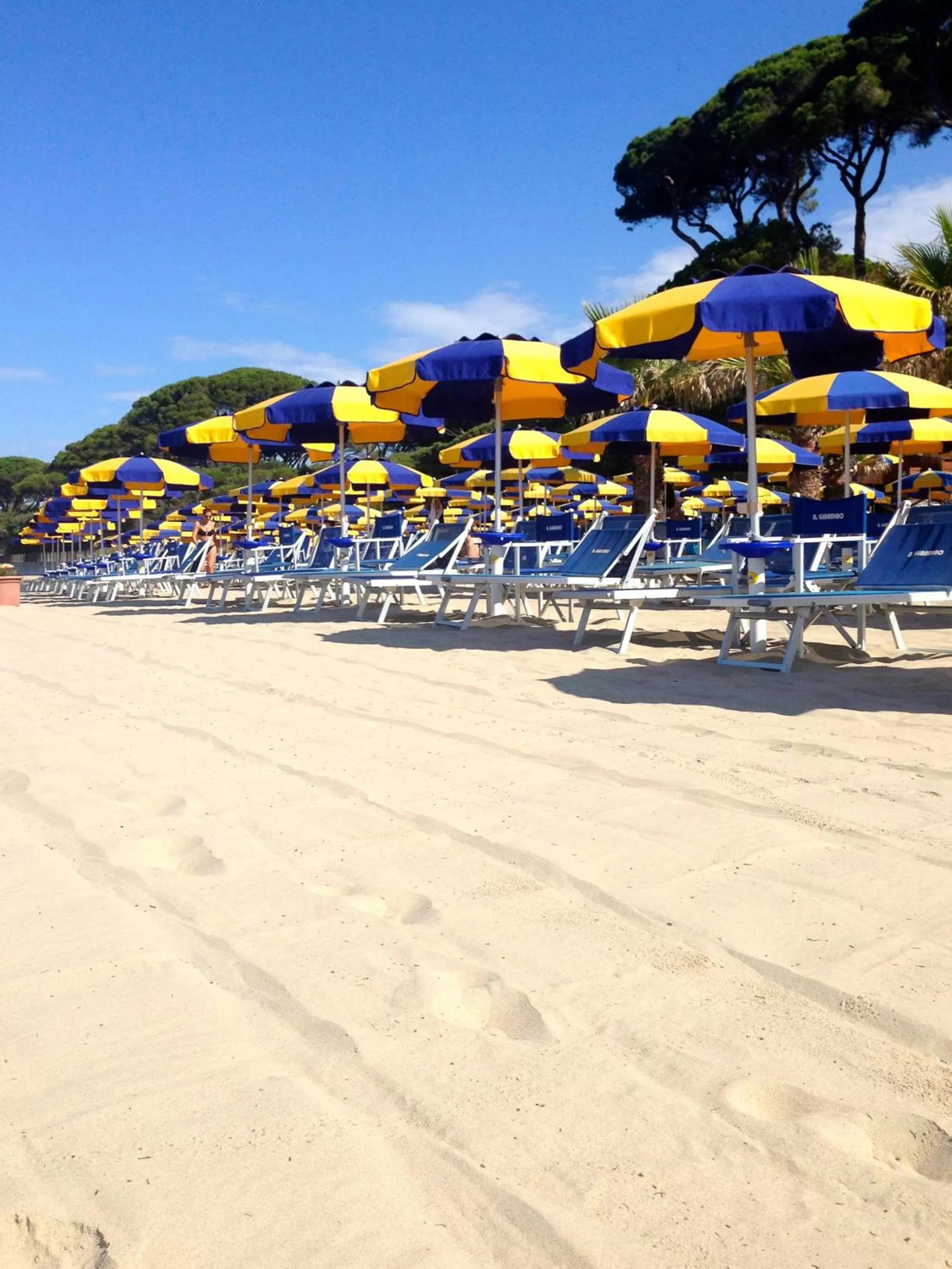 Facade/entrance in Hotel Giardino