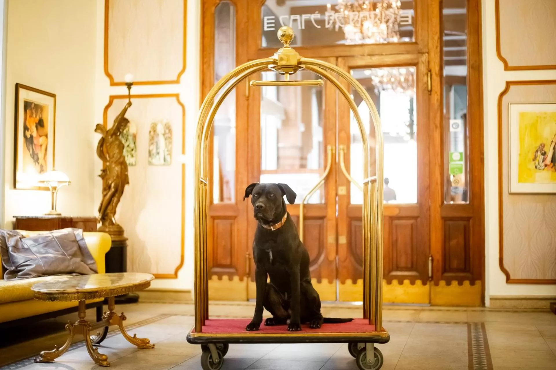 Pets in Hotel Paris Prague