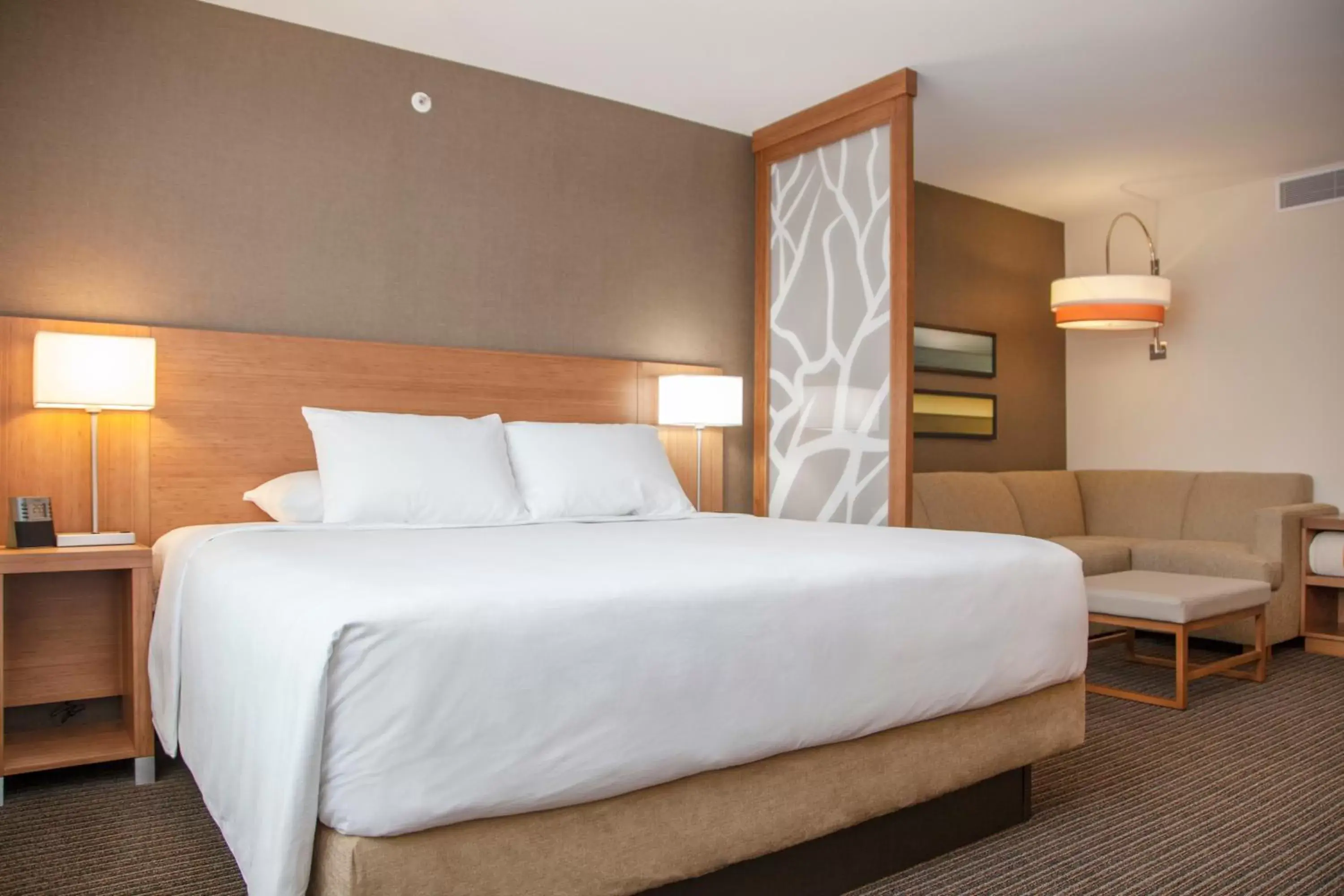 King Room in Hyatt Place La Paz King Room in Hyatt Place La Paz