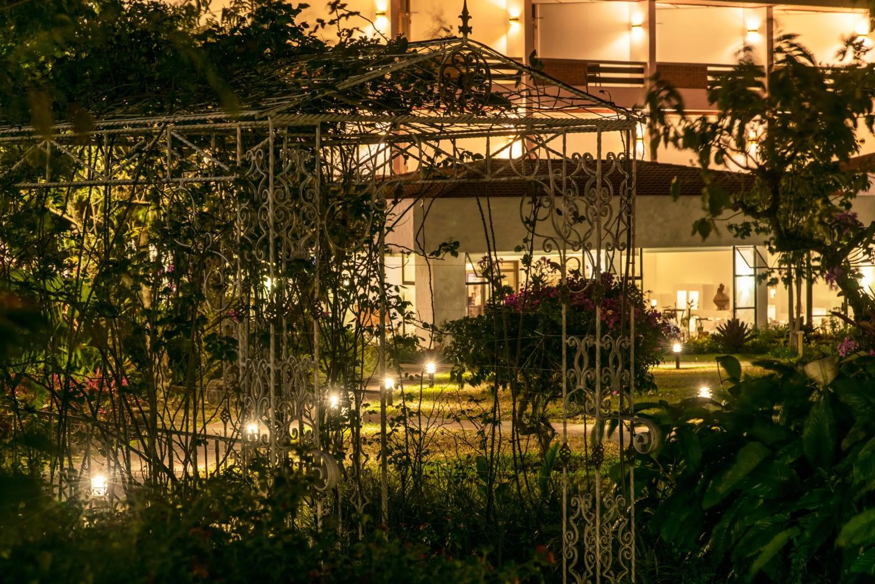 Garden in Hotel Bougainvillea San José