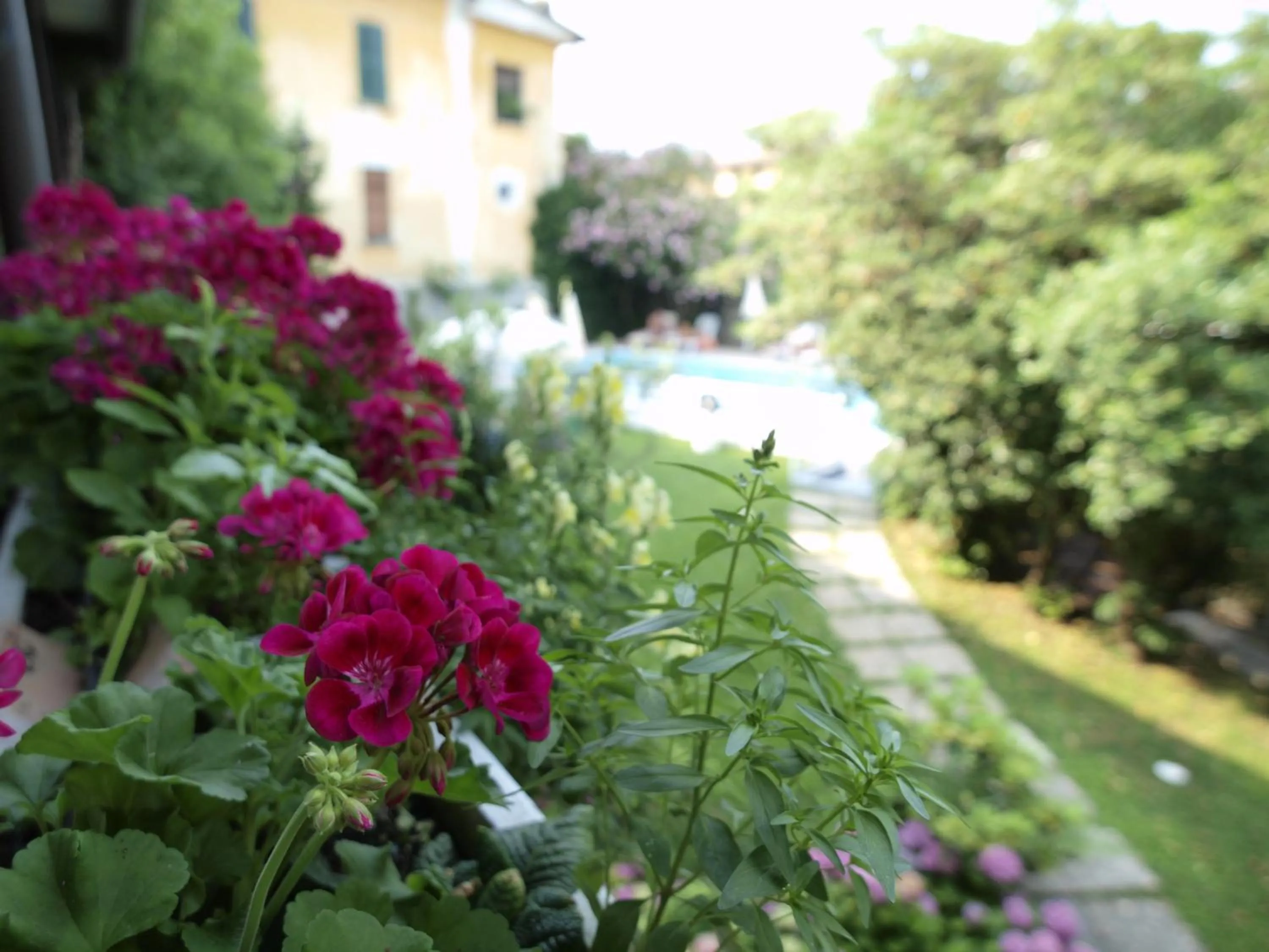 Garden in Hotel San Filis