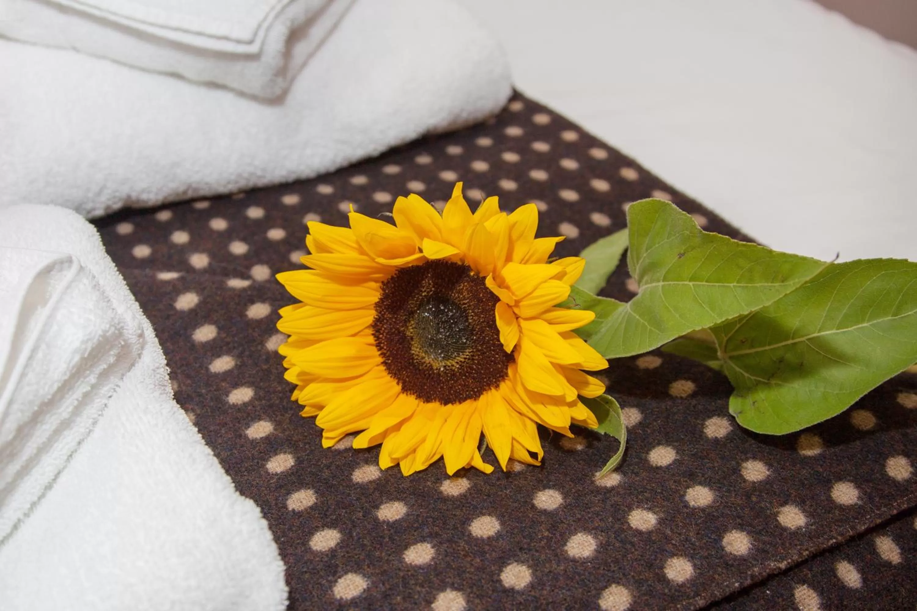 Other in The Townhouse Hotel