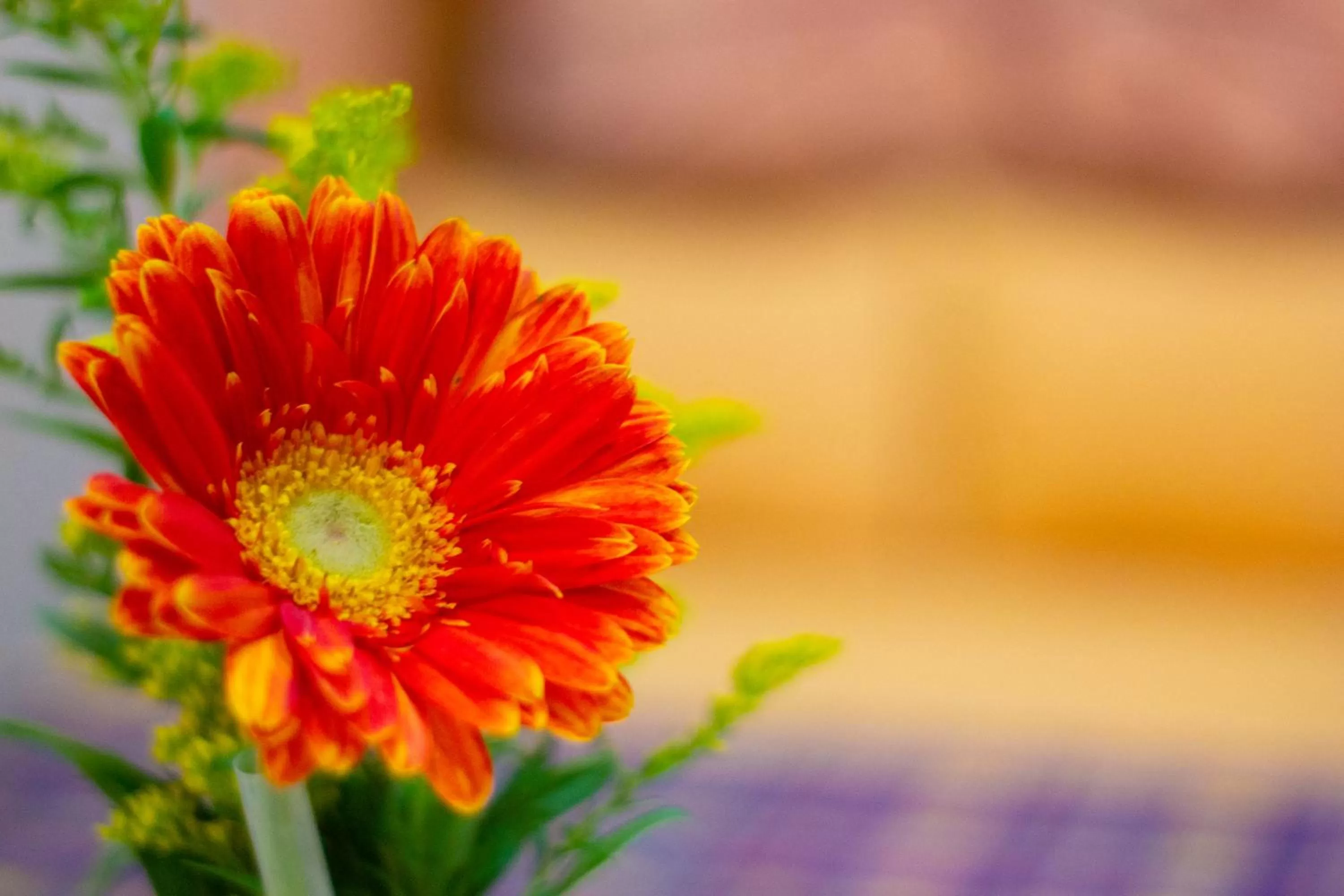 Decorative detail in Hotel Las Marias