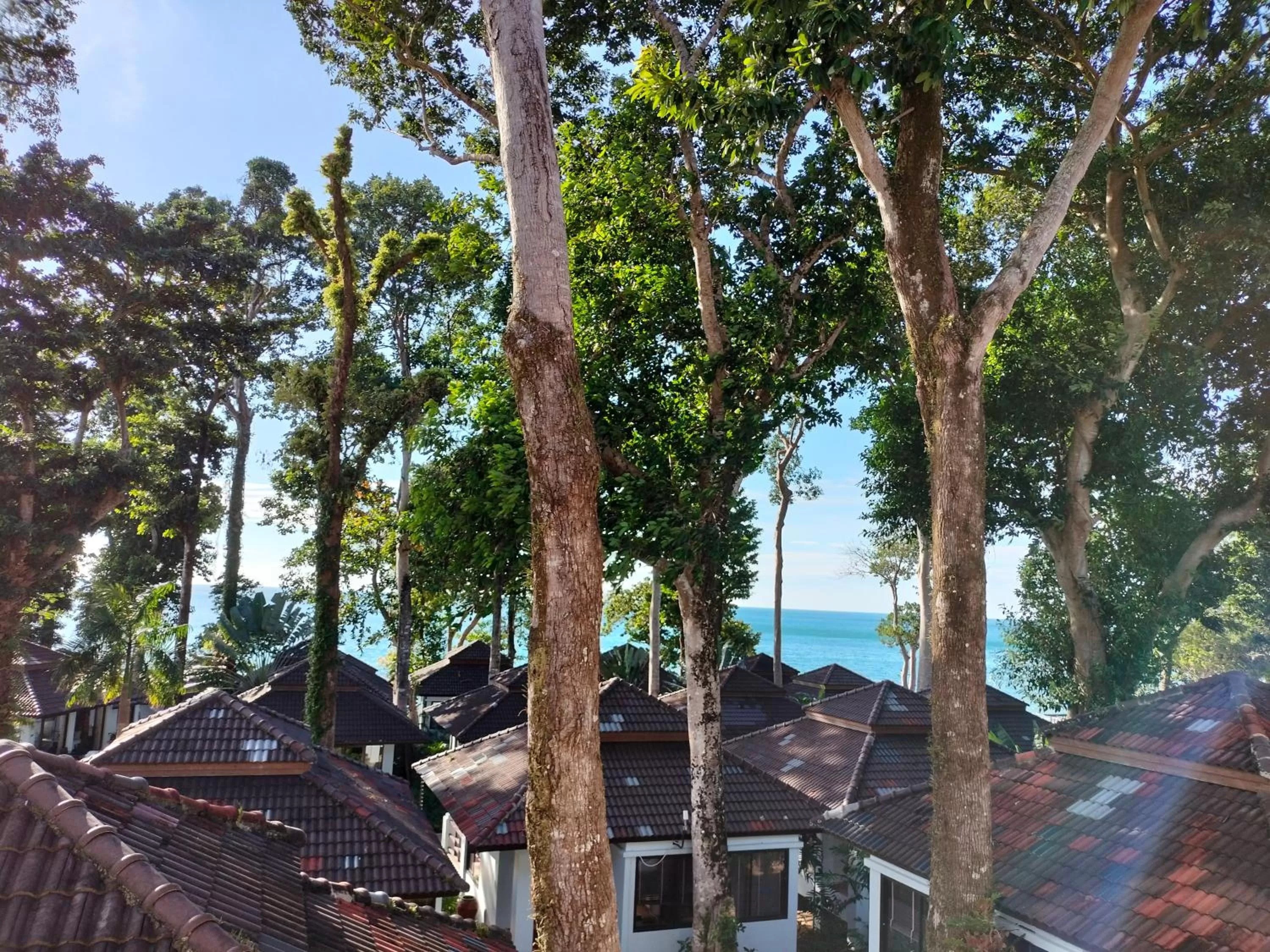 View (from property/room) in Chang Buri Resort & Koh Chang Hillside