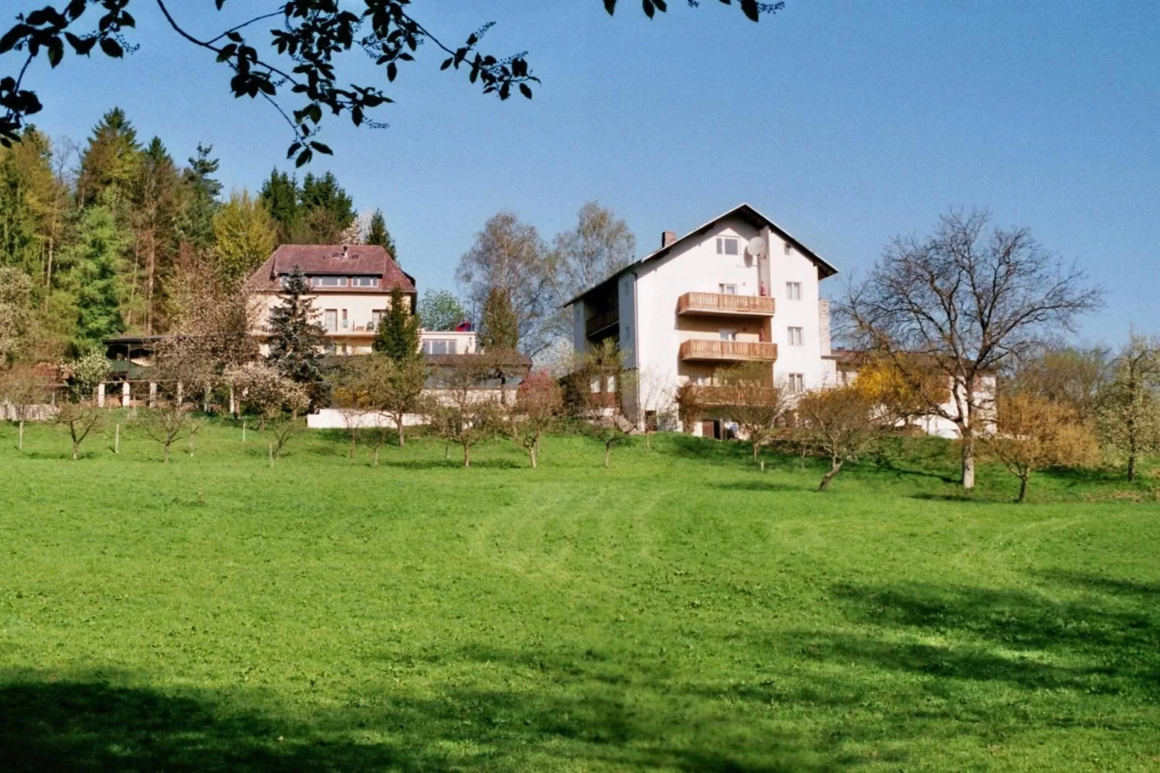 Summer in Landhaus Waldfrieden