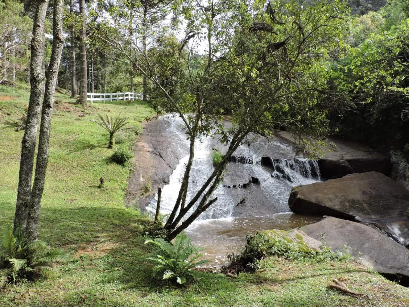 Diving, Natural Landscape in MD Luar da Montanha