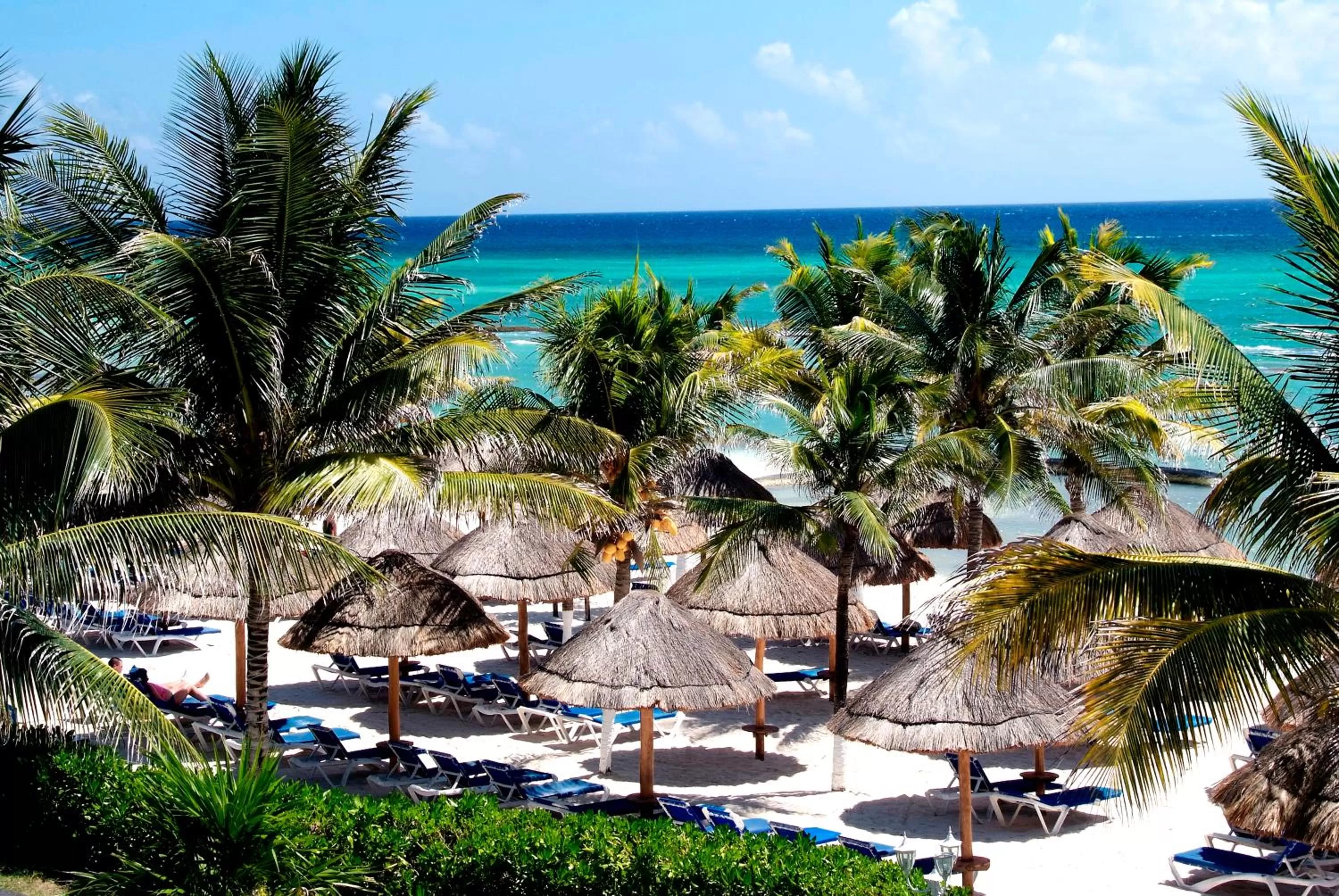 Natural landscape in Select Club at Sandos Caracol All Inclusive - Adults Only Area