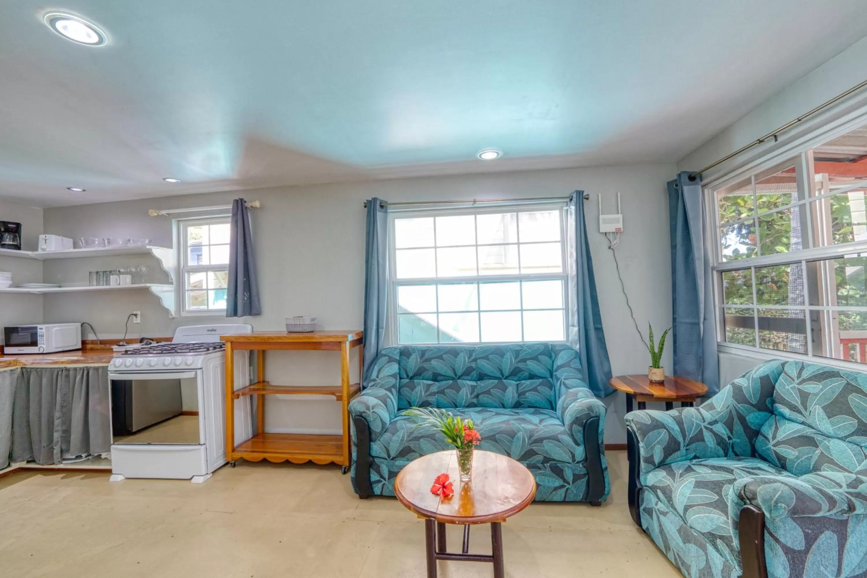 Living room, Kitchen/Kitchenette in Placencia Villas