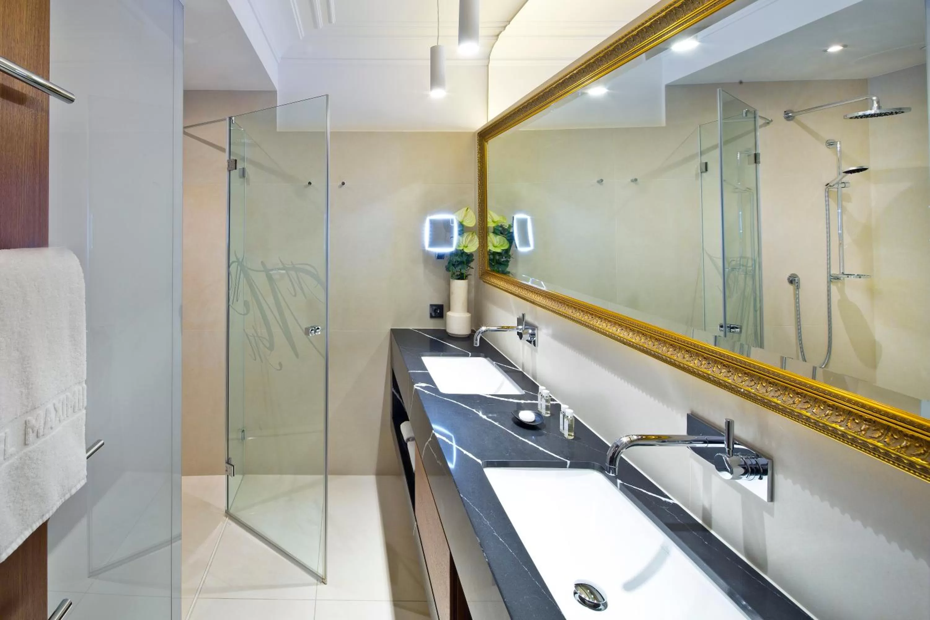 Shower in Hotel Maximilian - Stadthaus Penz