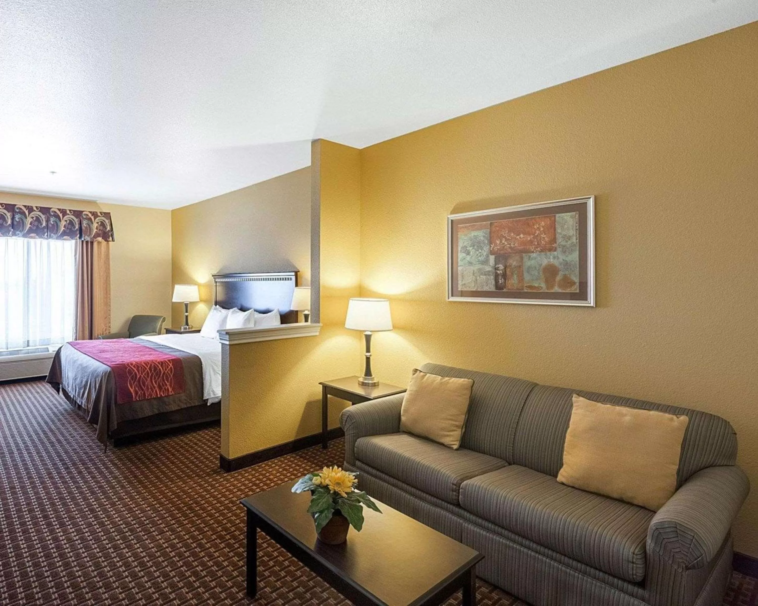 Photo of the whole room, Bed in Comfort Inn & Suites Regional Medical Center