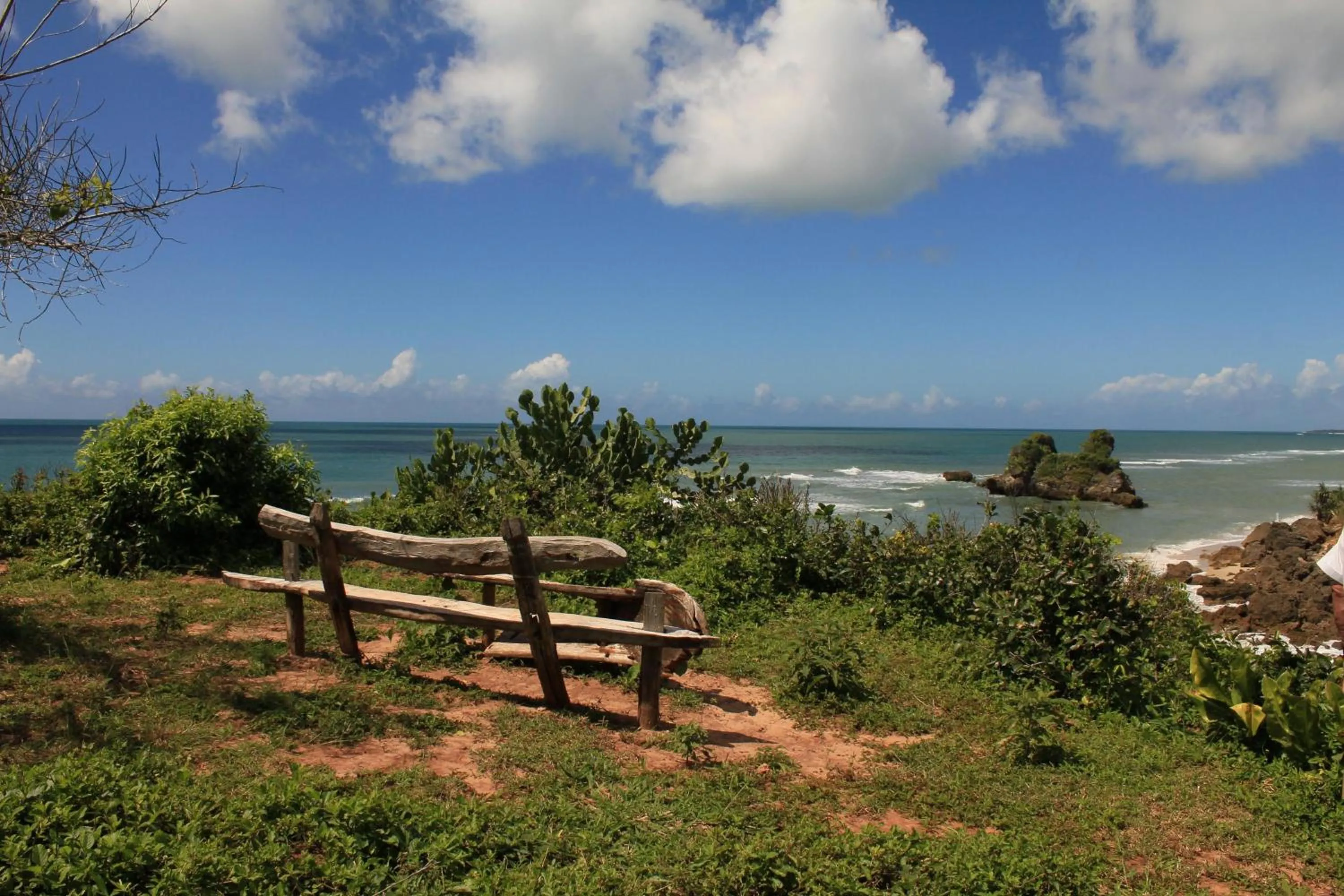 Natural landscape in Amani Beach Resort