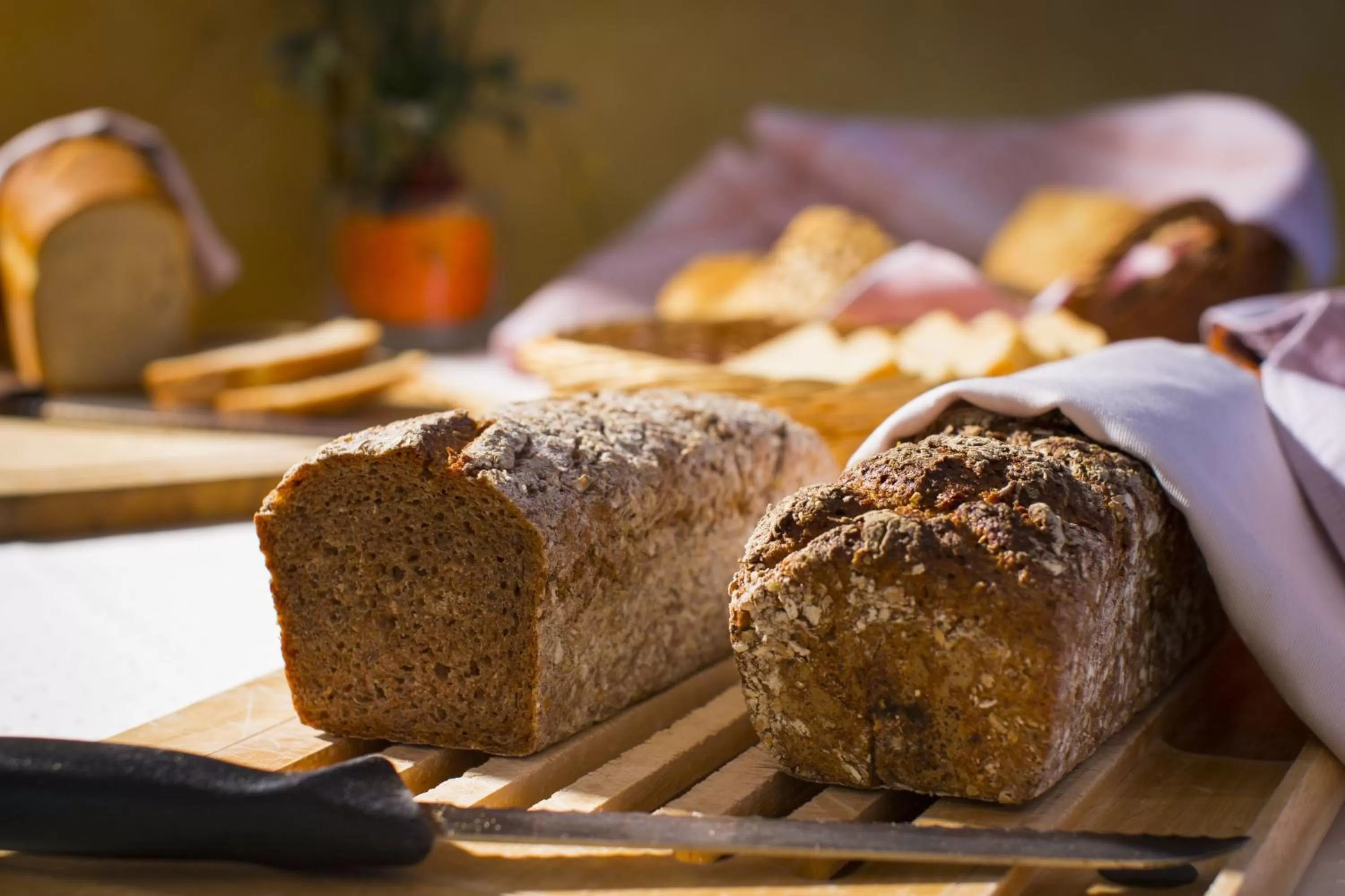 Food and drinks in Wellness- und Schneesporthotel Christiania