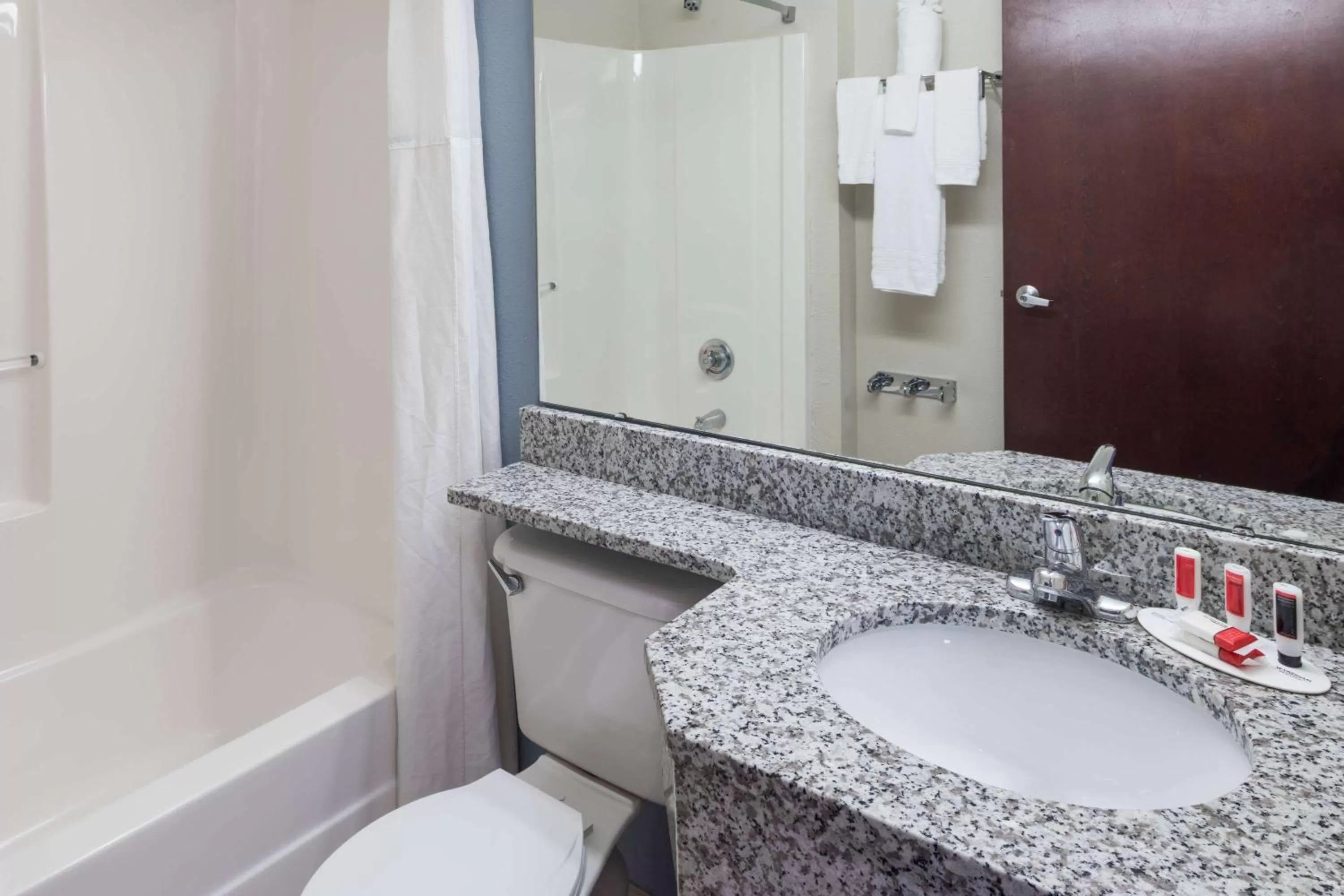 Bathroom in Microtel Inn & Suites - Greenville