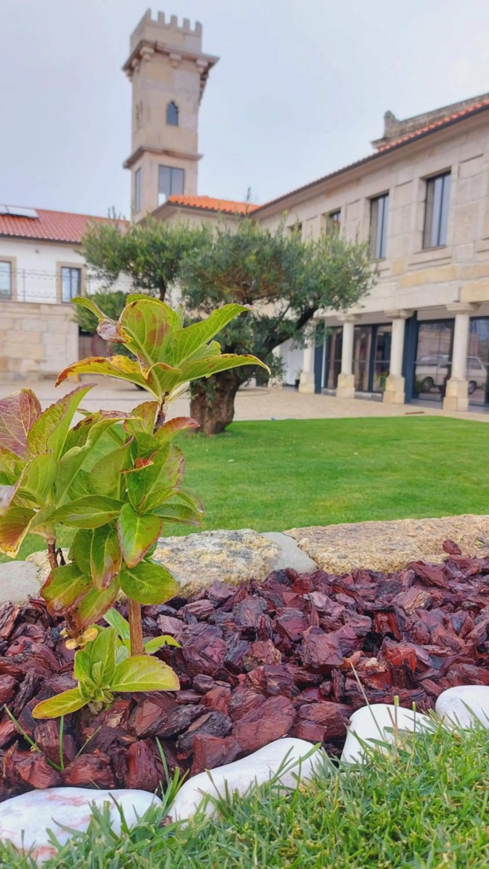 Property building in Casa da Torre - Viseu