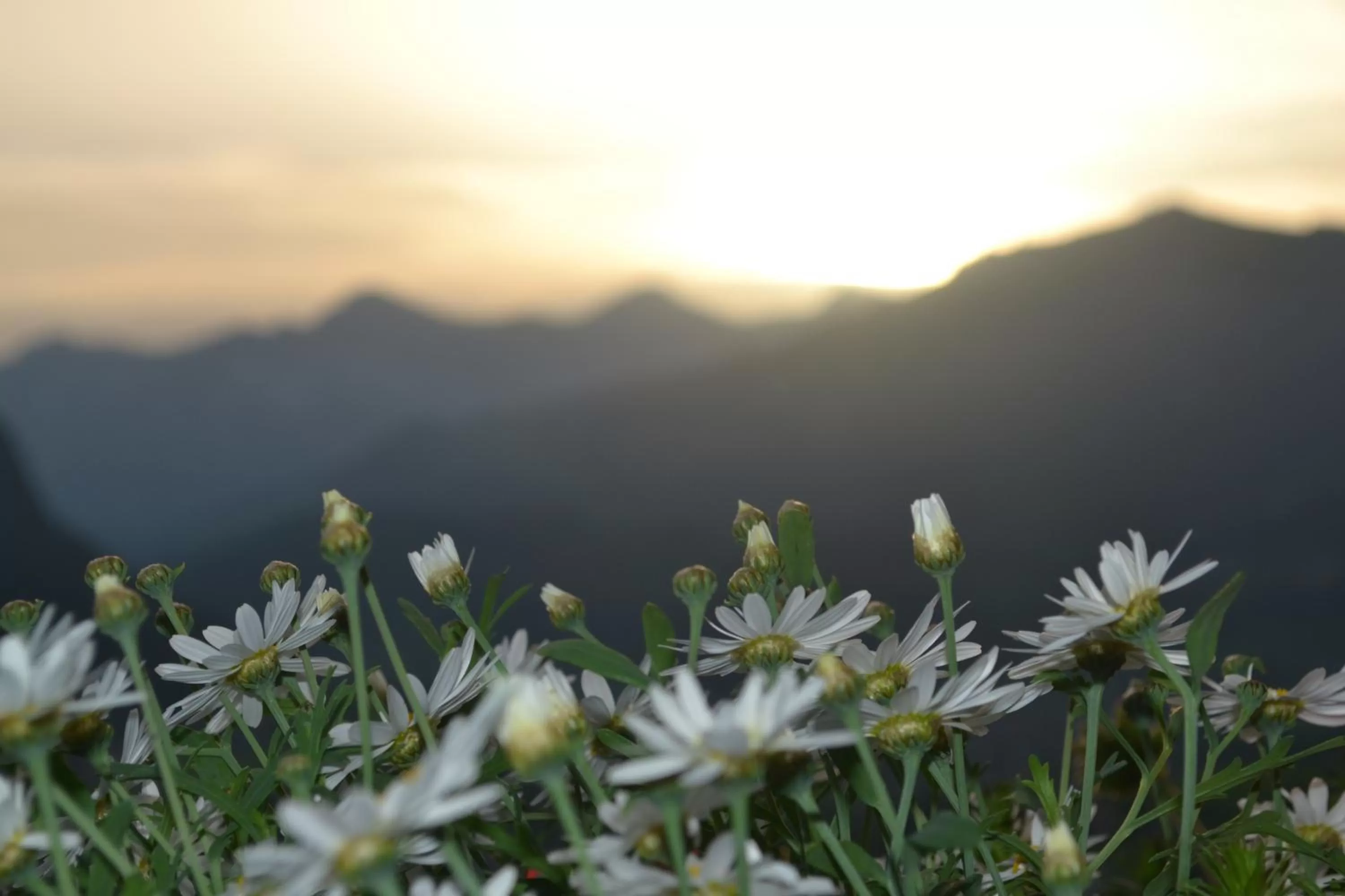 Other in Hotel Le Grand Chalet Gstaad