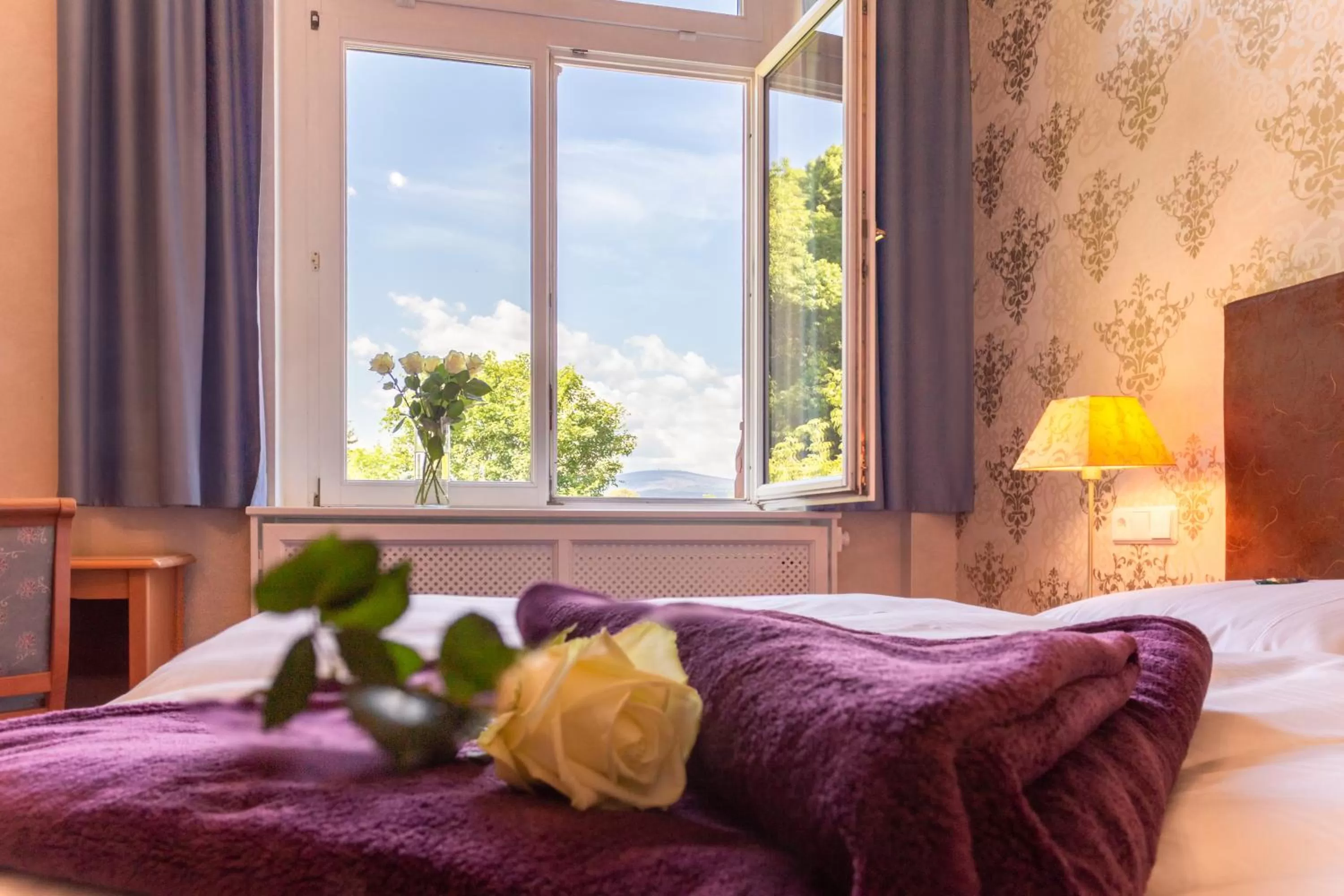 Mountain view, Bed in Hotel Erbprinzenpalais