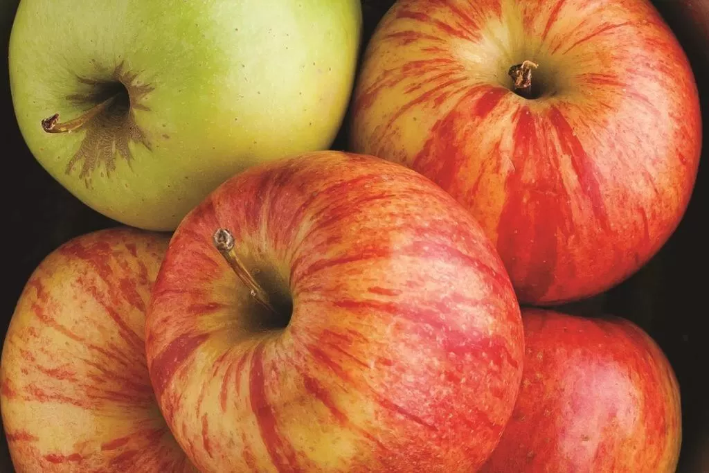 Breakfast in Hampton Inn (not a Hilton Affiliate) Camp Hill - Harrisburg SW