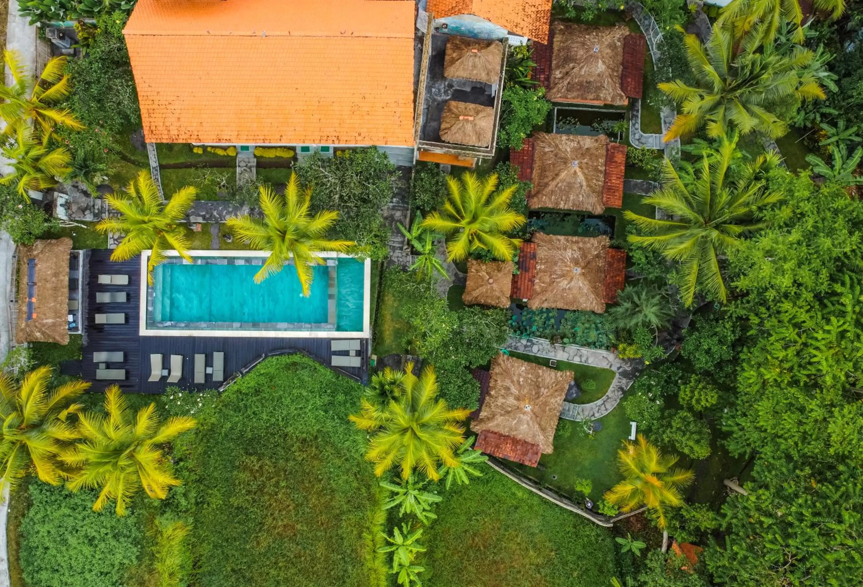 Bird's eye view in Ubud Sari Health Resort