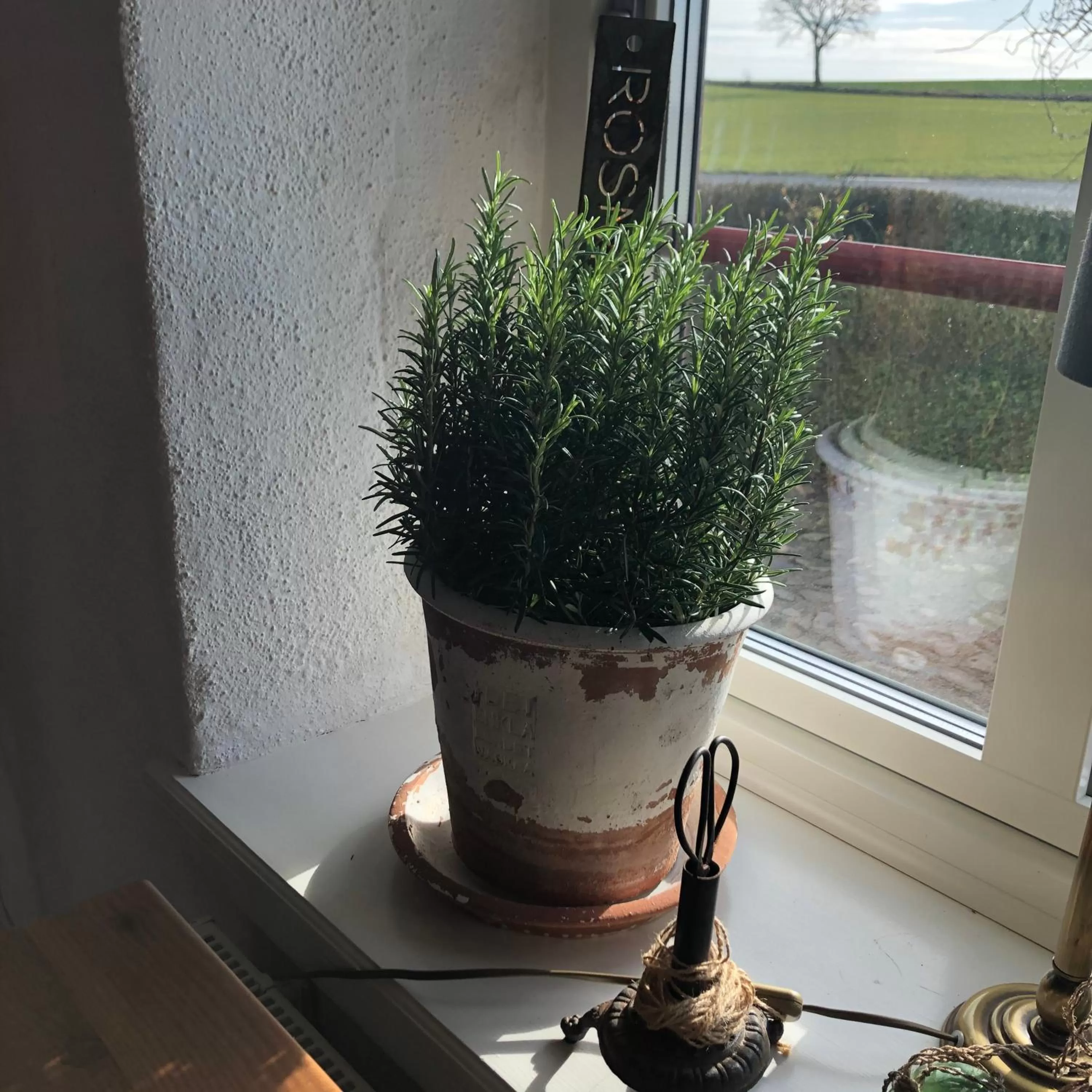 Glimminge Bed & Breakfast