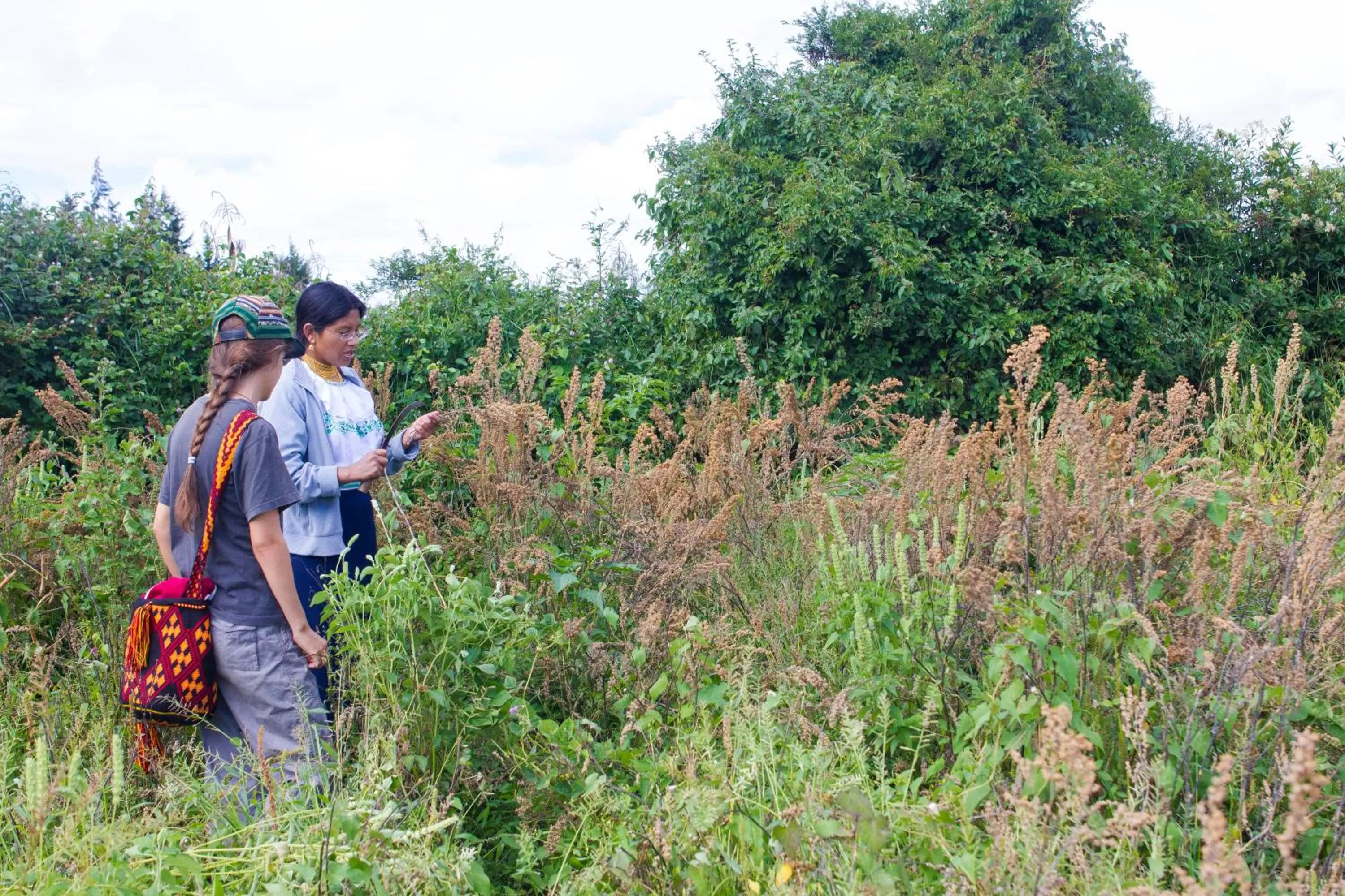 View (from property/room), Staff in Kallpa Wasi