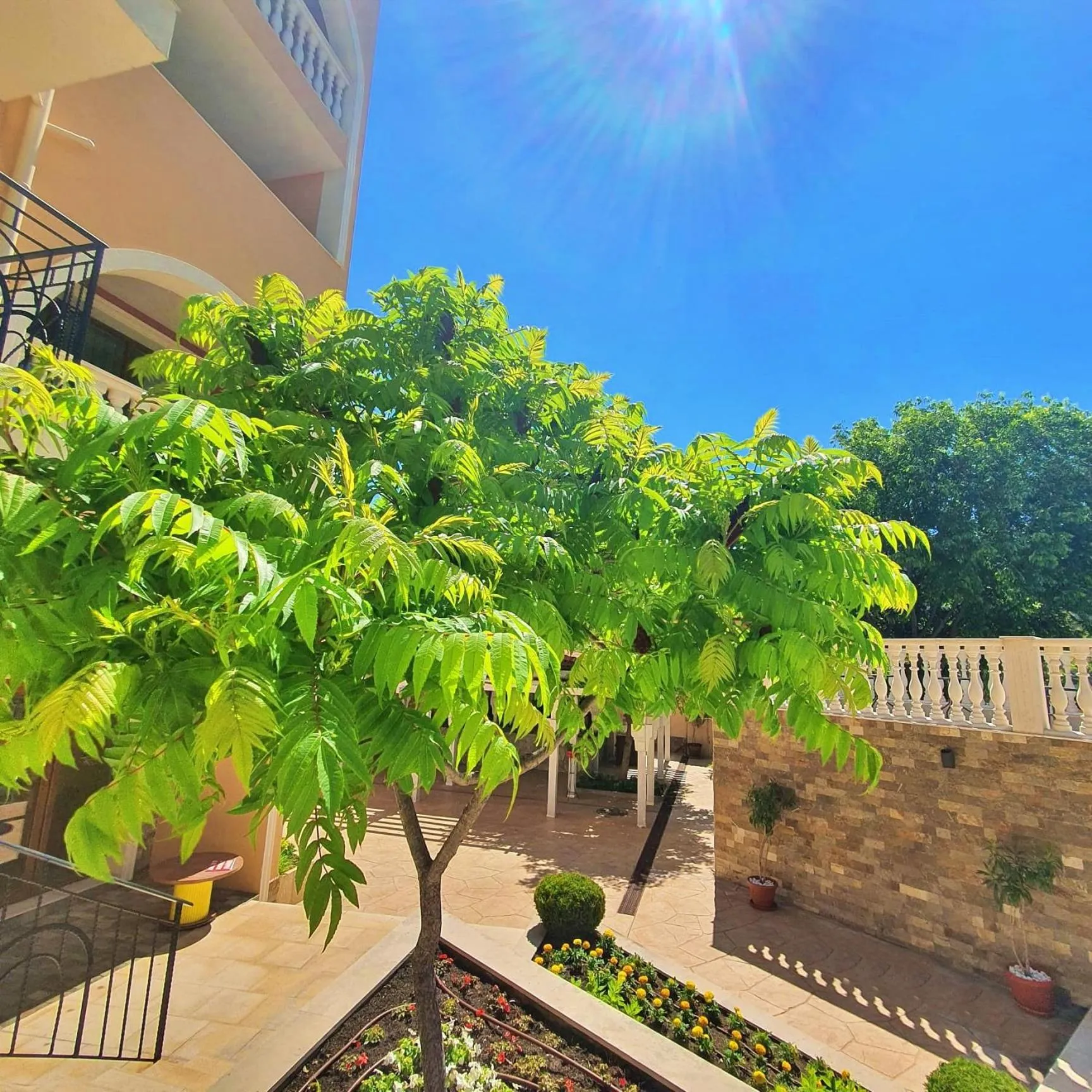 Day in Festa Via Pontica