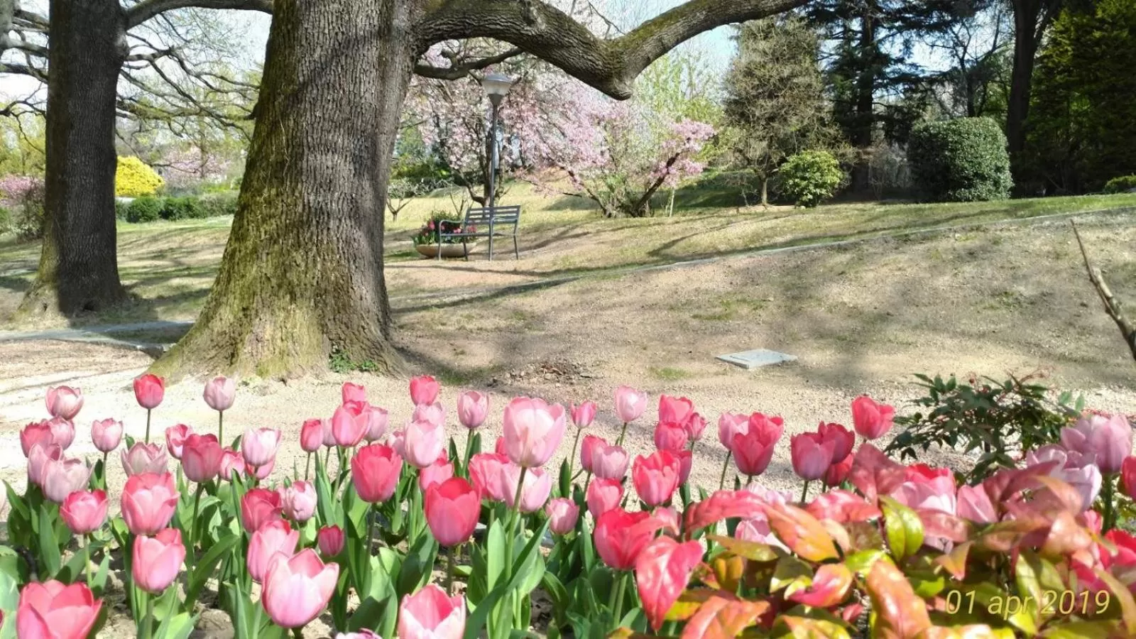 Natural landscape in "La Selvetta" bed and breakfast