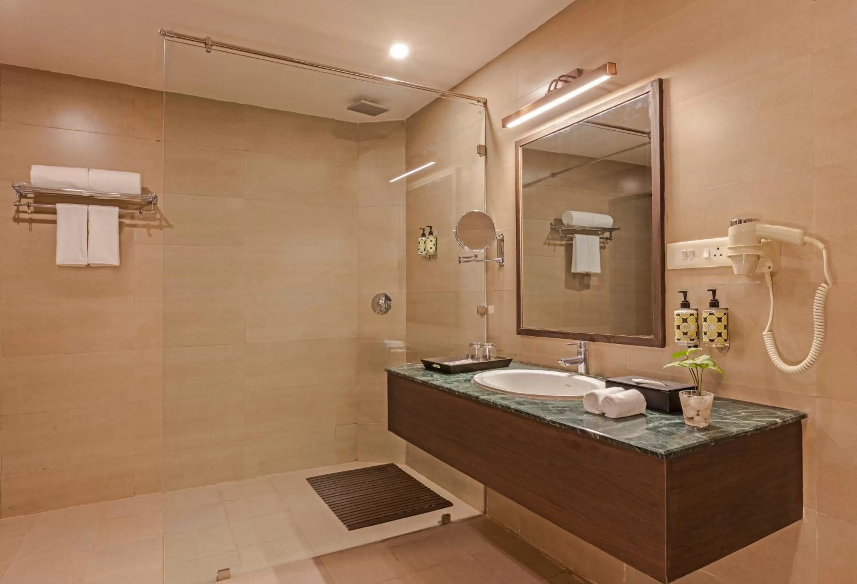 Bathroom in Lemon Tree Premier, Rishikesh