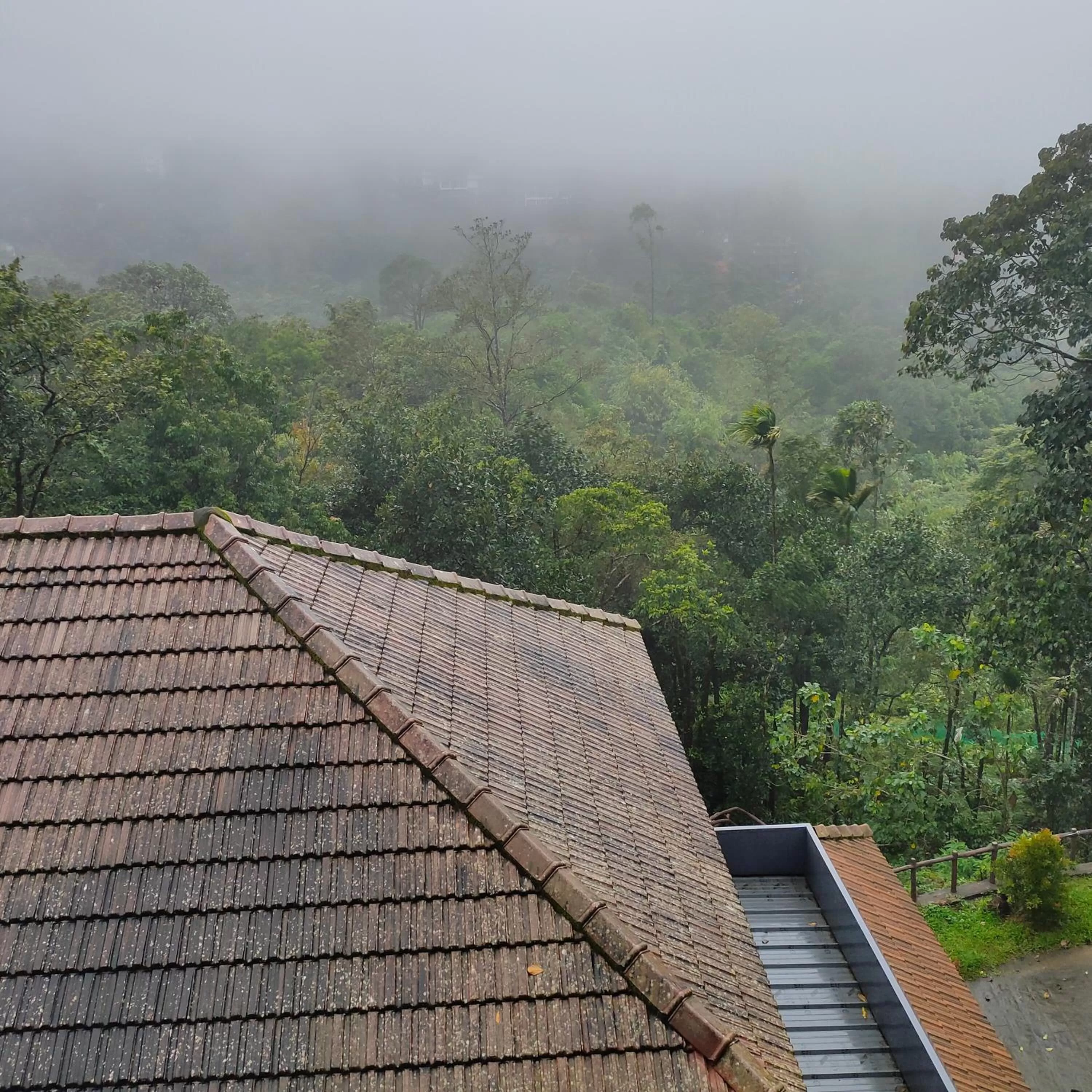 Mountain view in The Wild Trails Clarks Exotica , Munnar