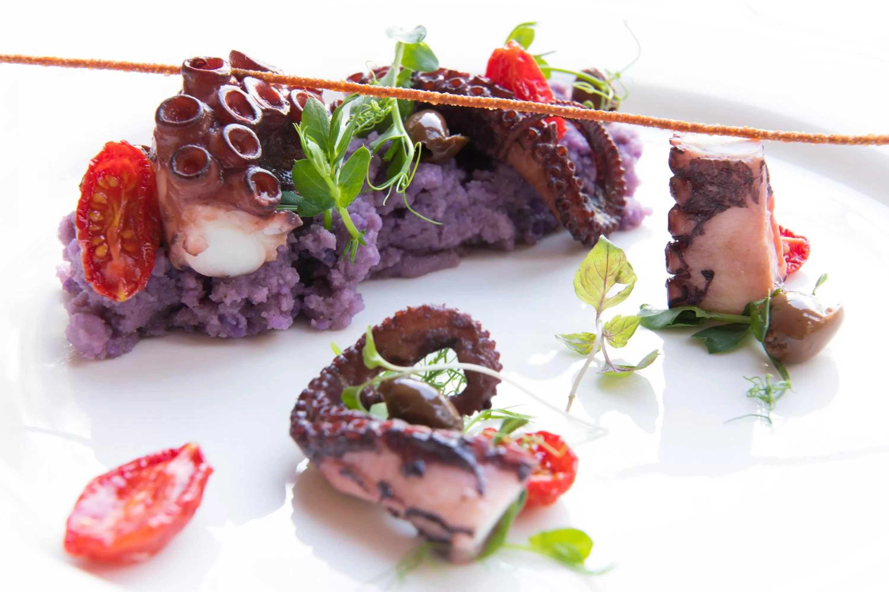 Food in Grand Hotel Castrocaro Longlife Formula