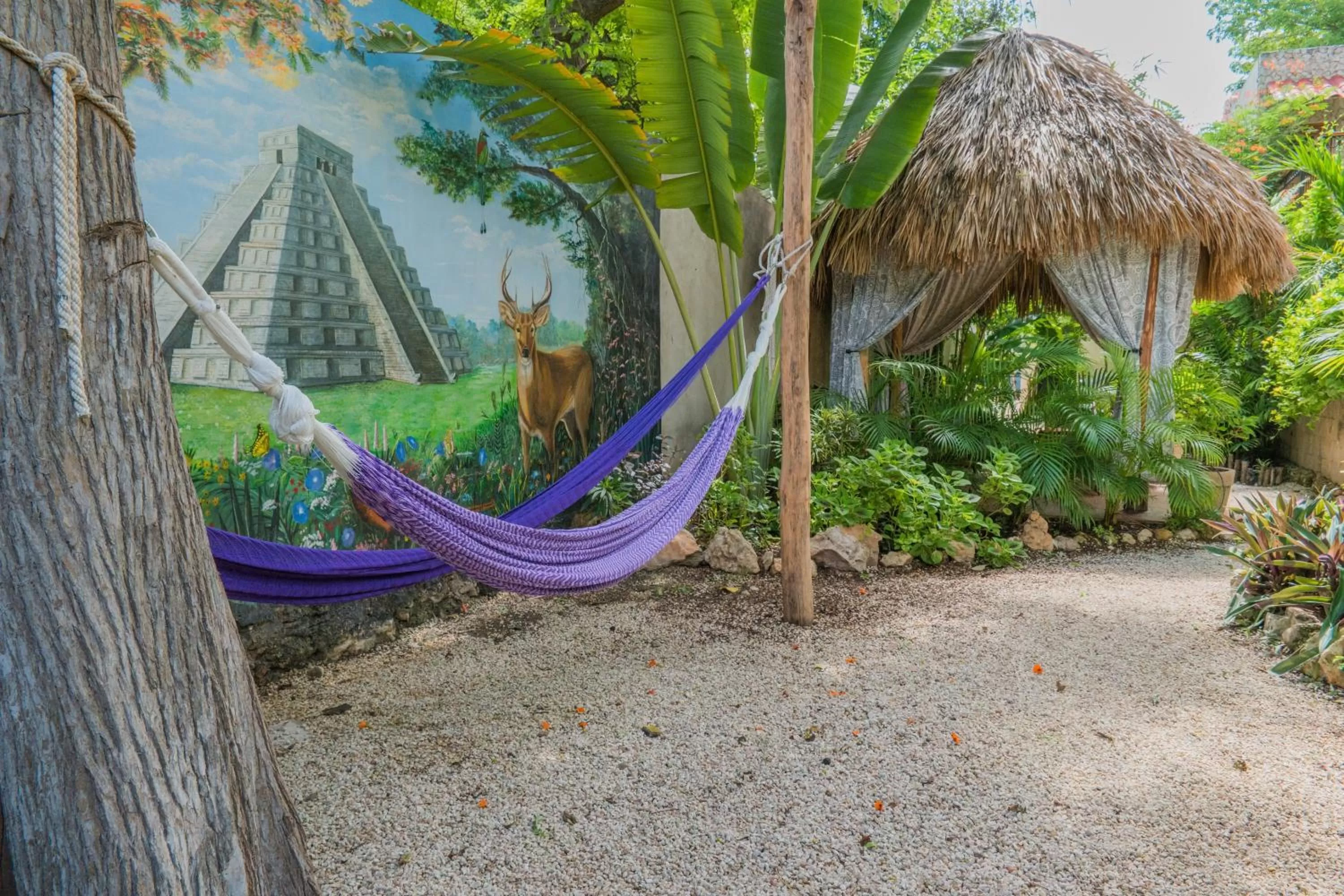 Garden in Casa Del Maya Bed & Breakfast