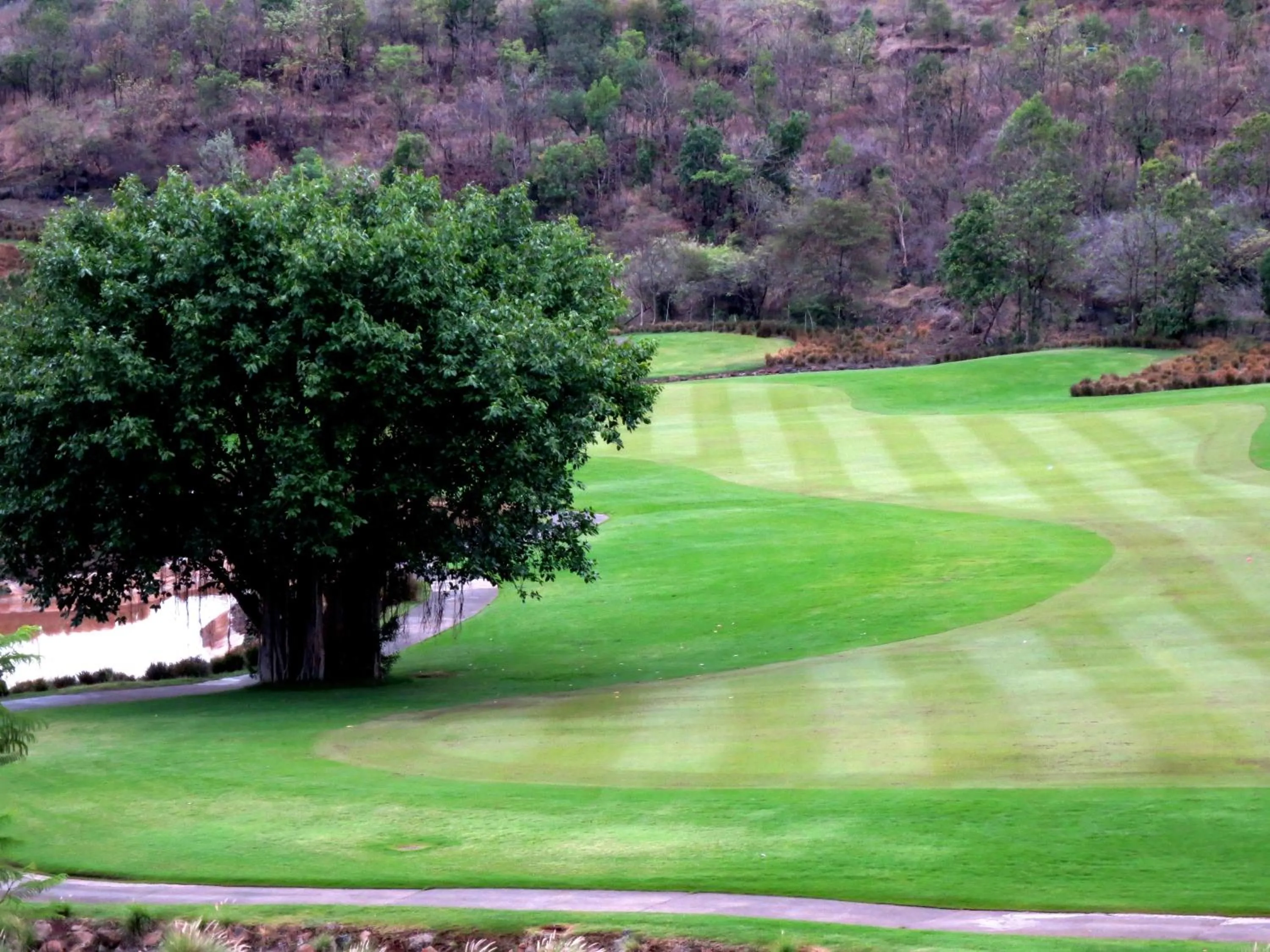 Golfcourse in Oxford Golf Resort