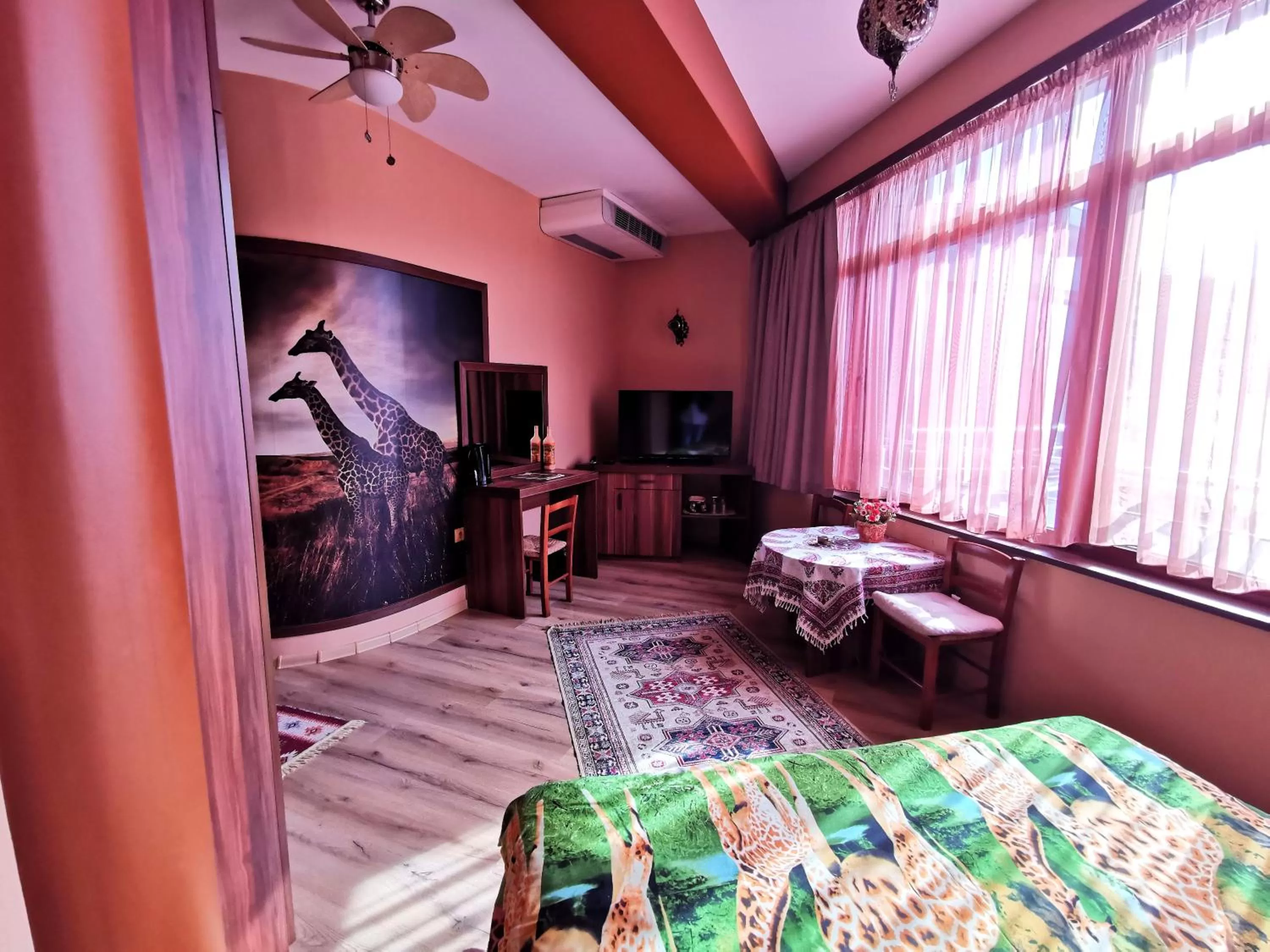 TV/Entertainment Center in Hotel Africa