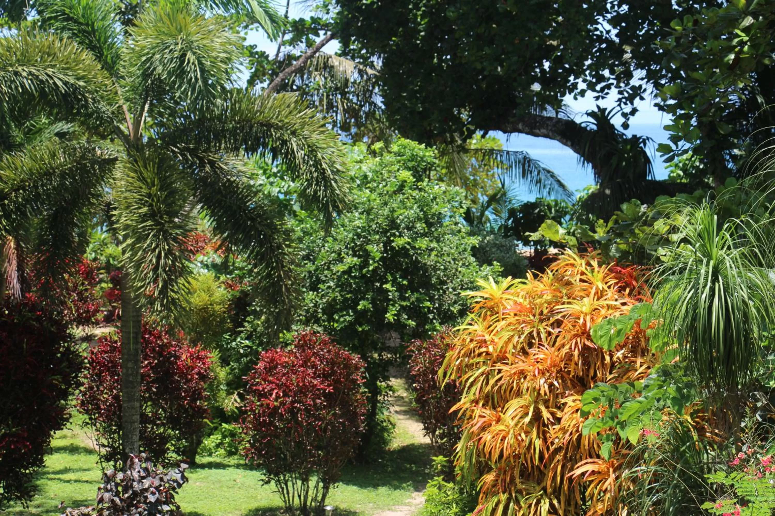 Garden in Turtle Beach House