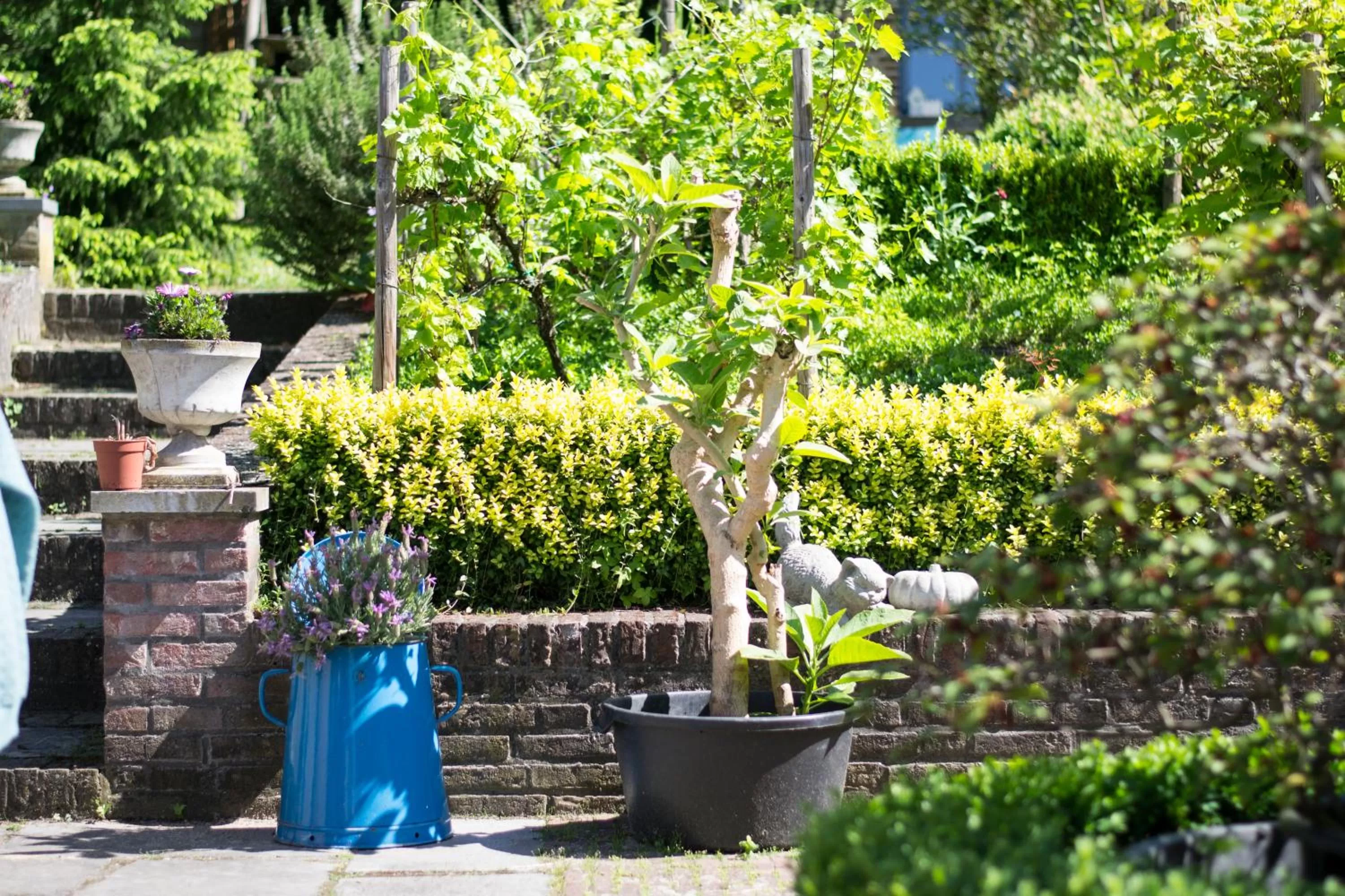 Garden in Huize Mesch