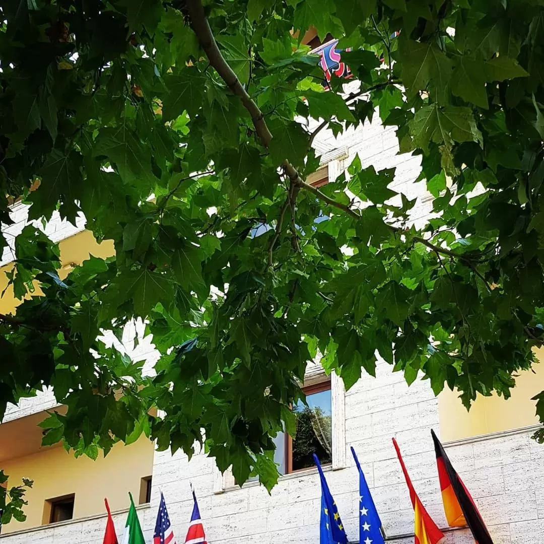 Hotel Ambasador Garden