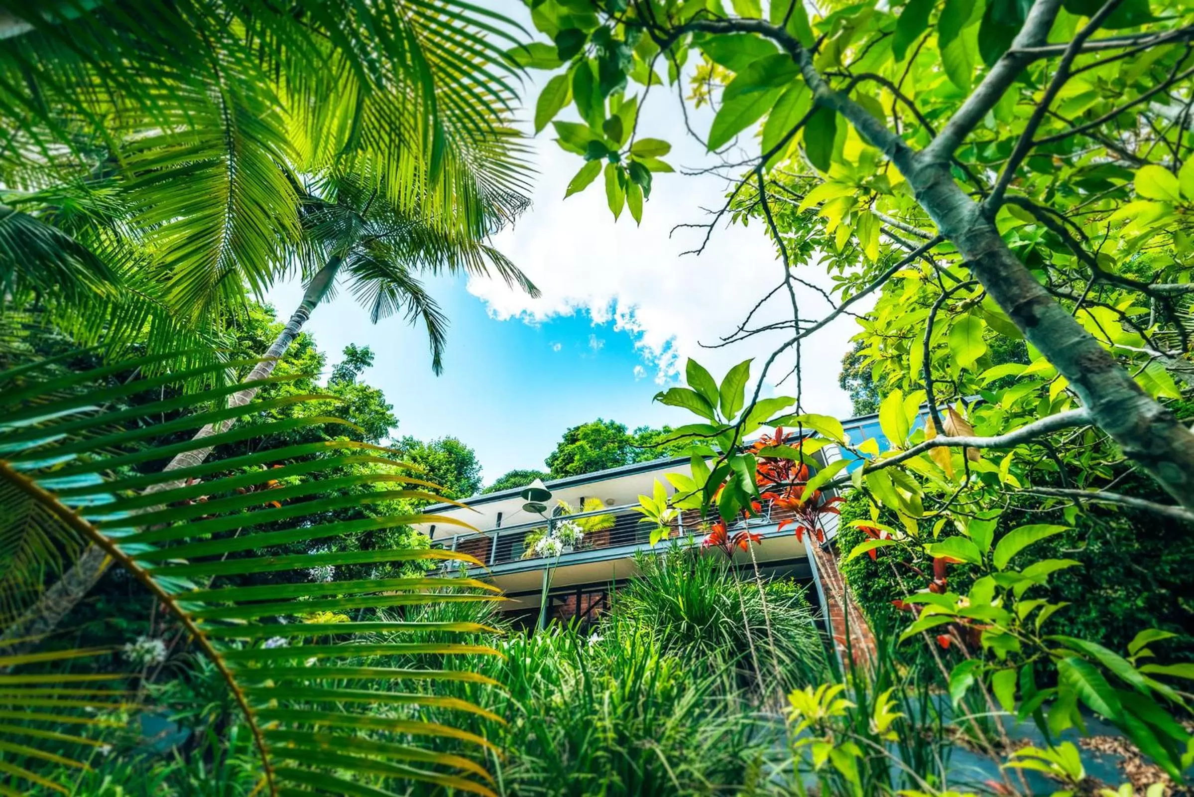 Property building in Bella Vista Bellingen
