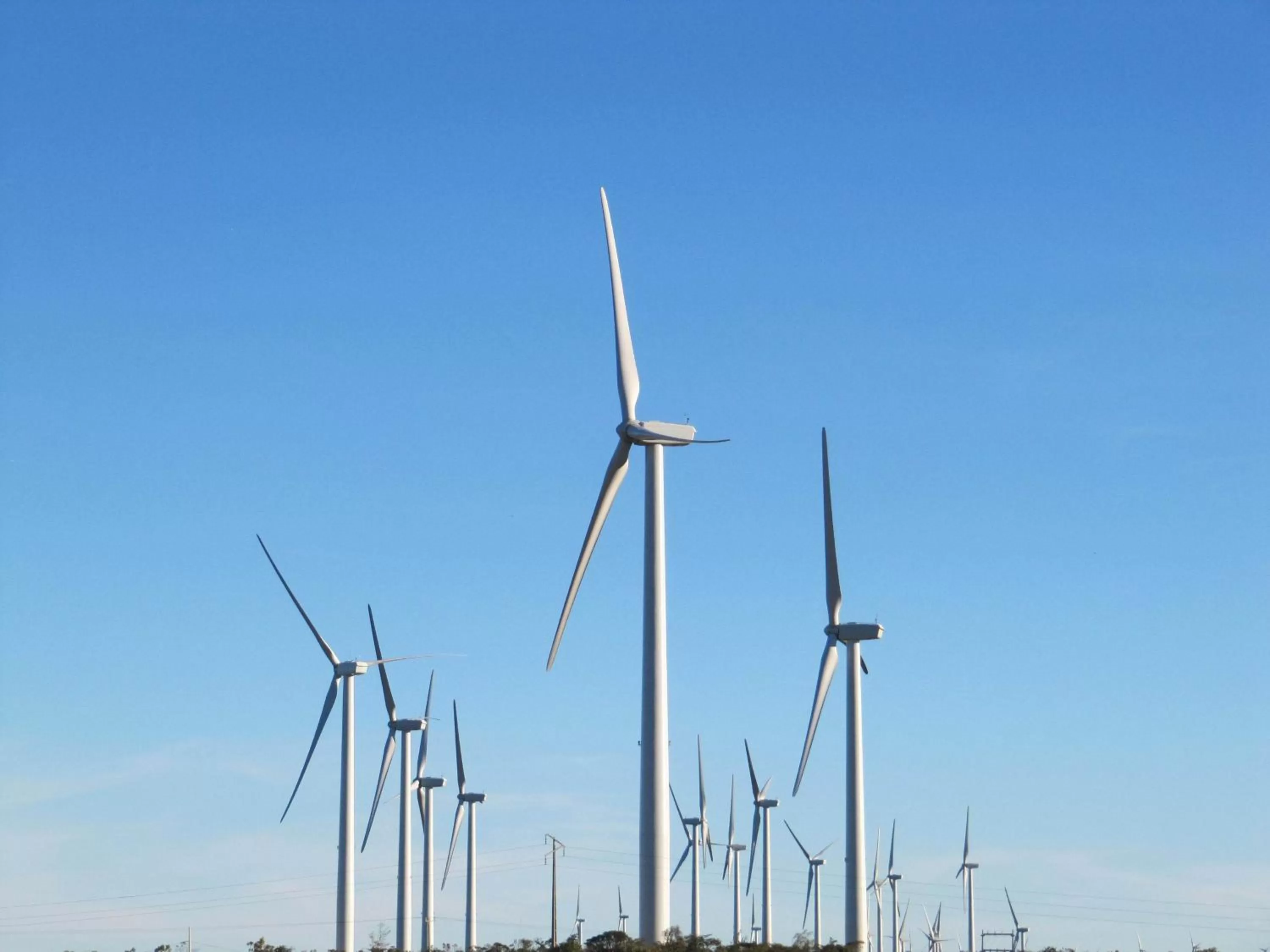 Area and facilities in Hotel Porto do Sol