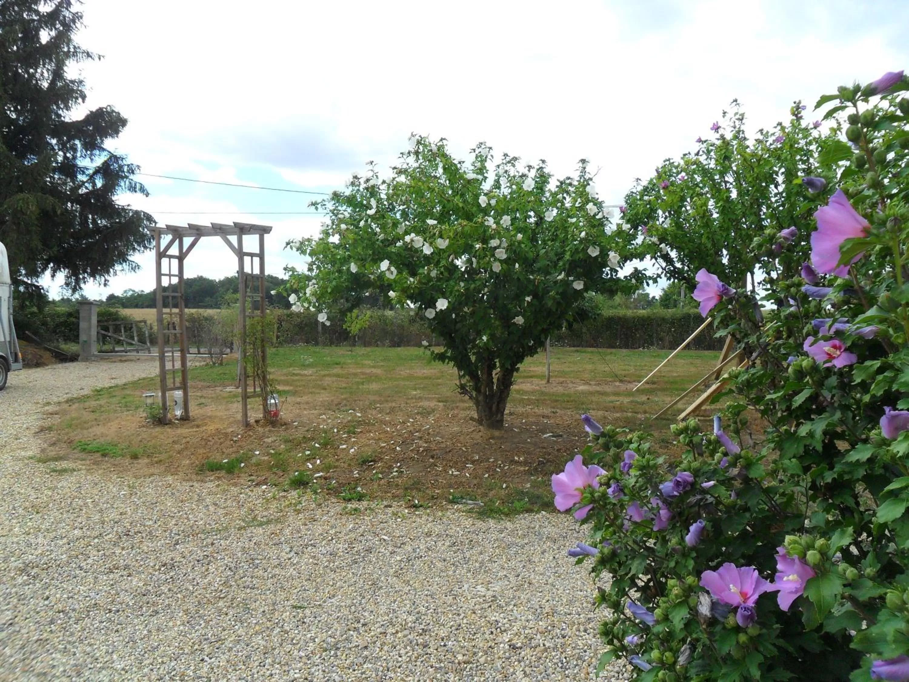 Garden view in Aux Cadollines