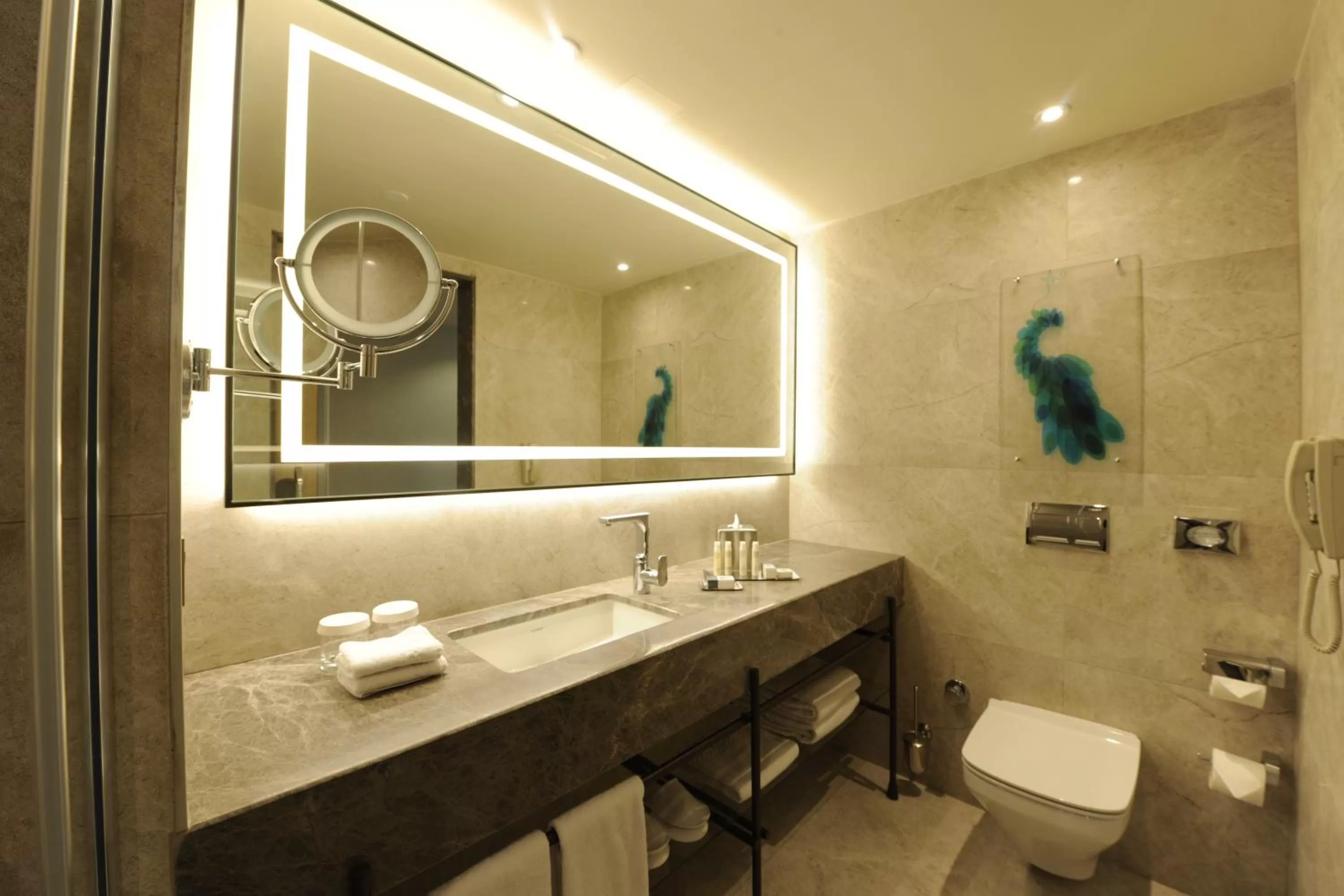 Shower in DoubleTree by Hilton Istanbul - Sirkeci