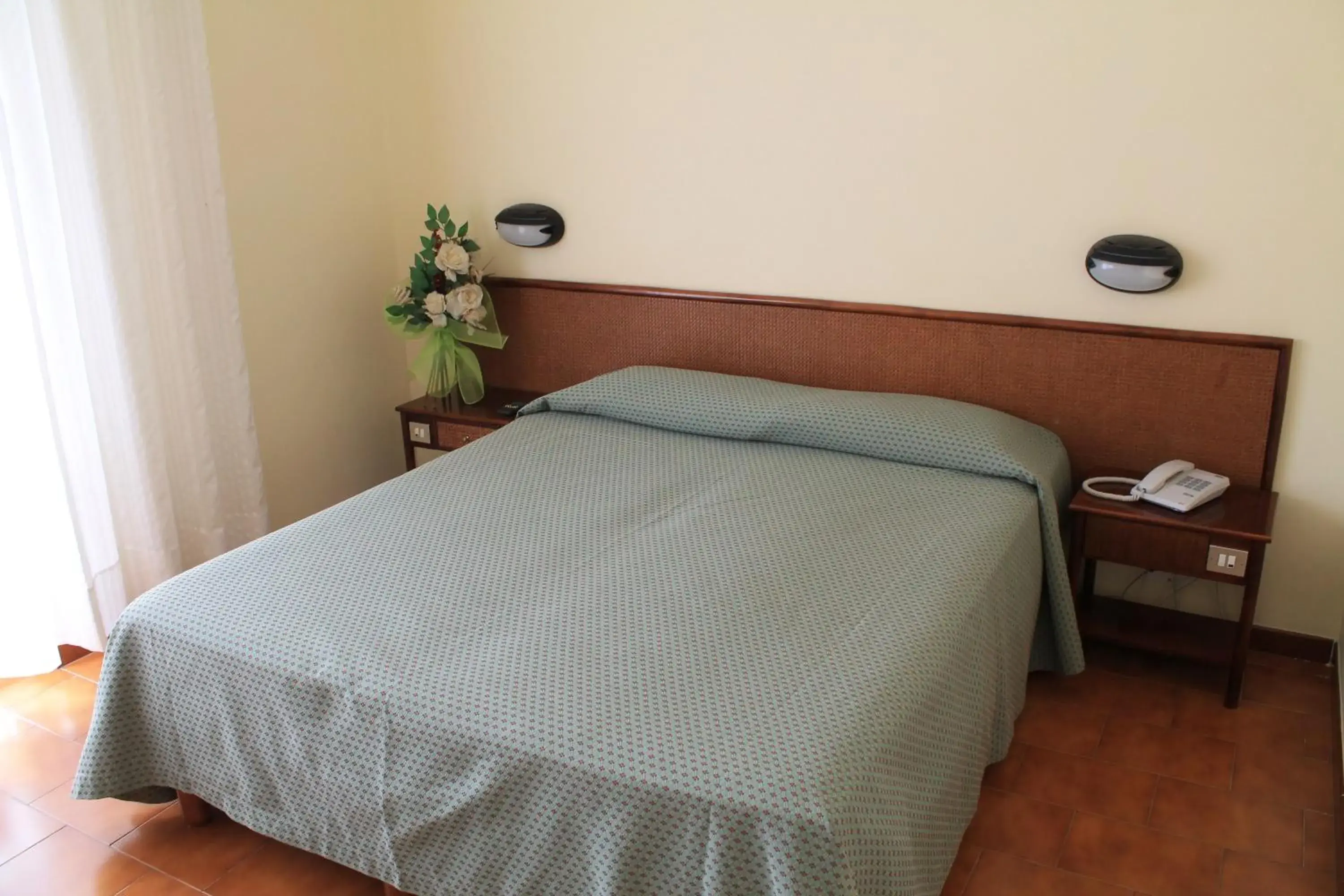 Double Room in Hotel Minerva Double Room in Hotel Minerva