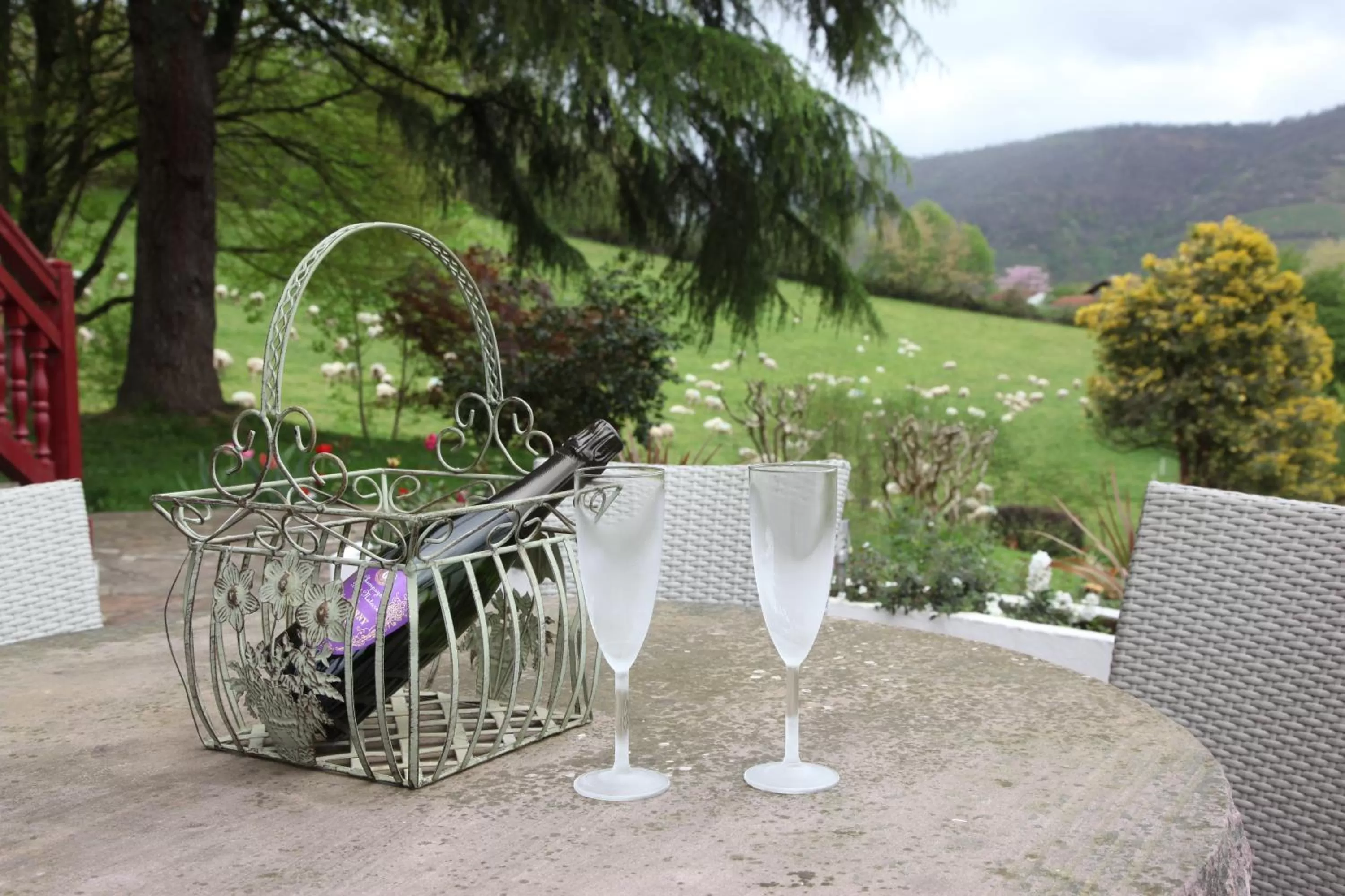 Garden view in Gure Lana