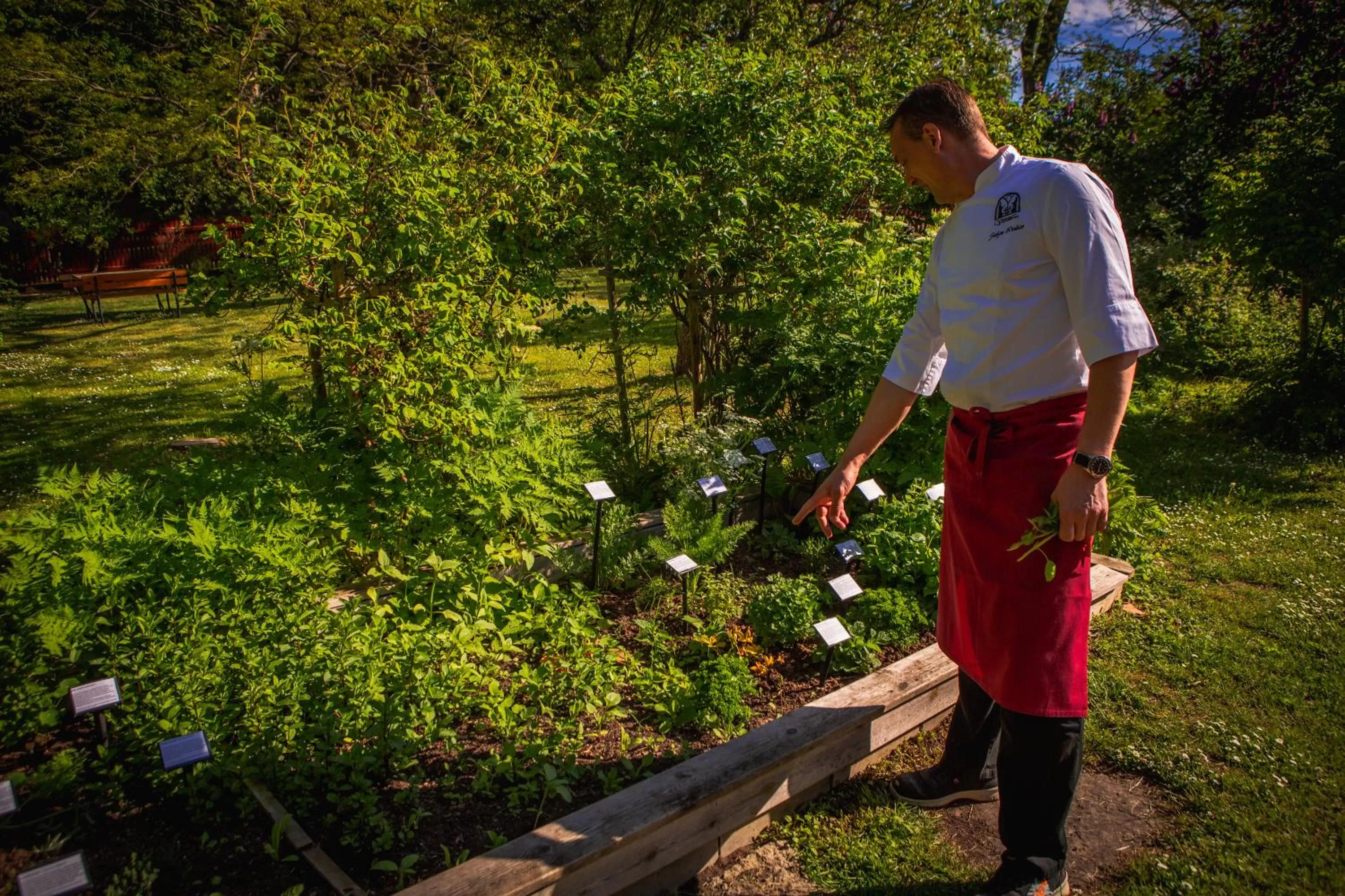 Restaurant/places to eat in Vadstena Klosterhotell Konferens & Spa