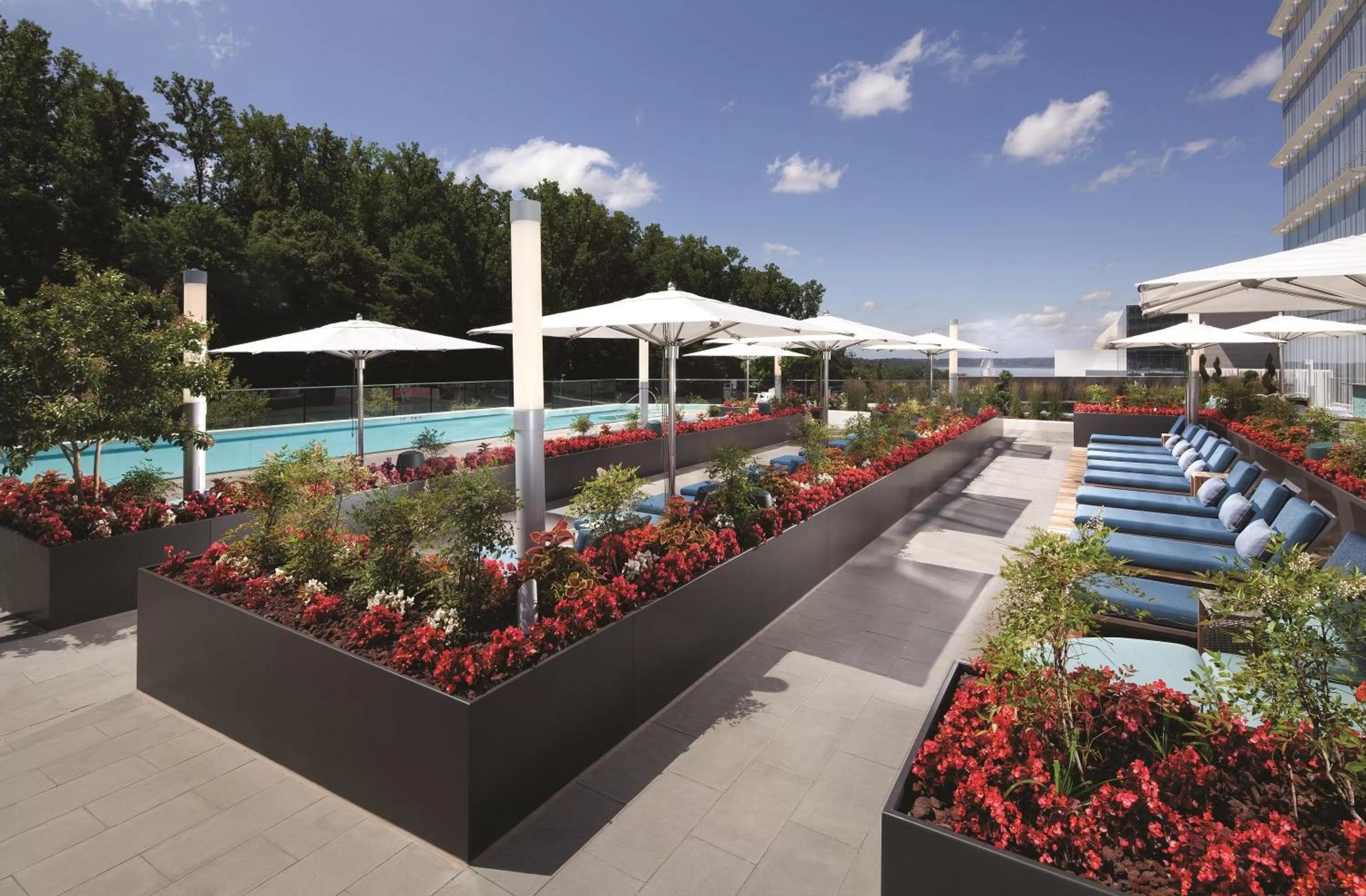 Swimming pool in MGM National Harbor