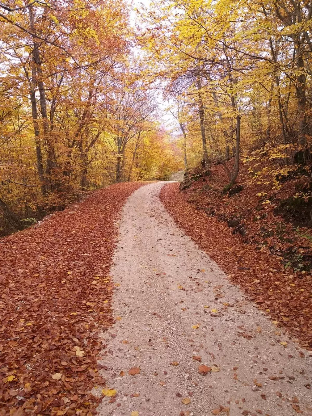 Natural landscape in B&B Fonte Vena