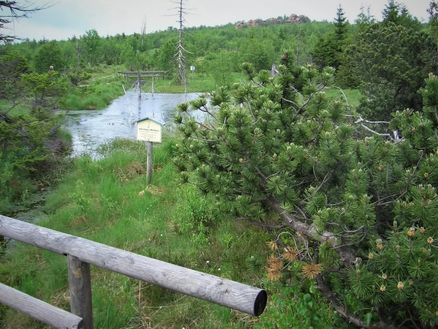 Nearby landmark in Hotel Lugsteinhof