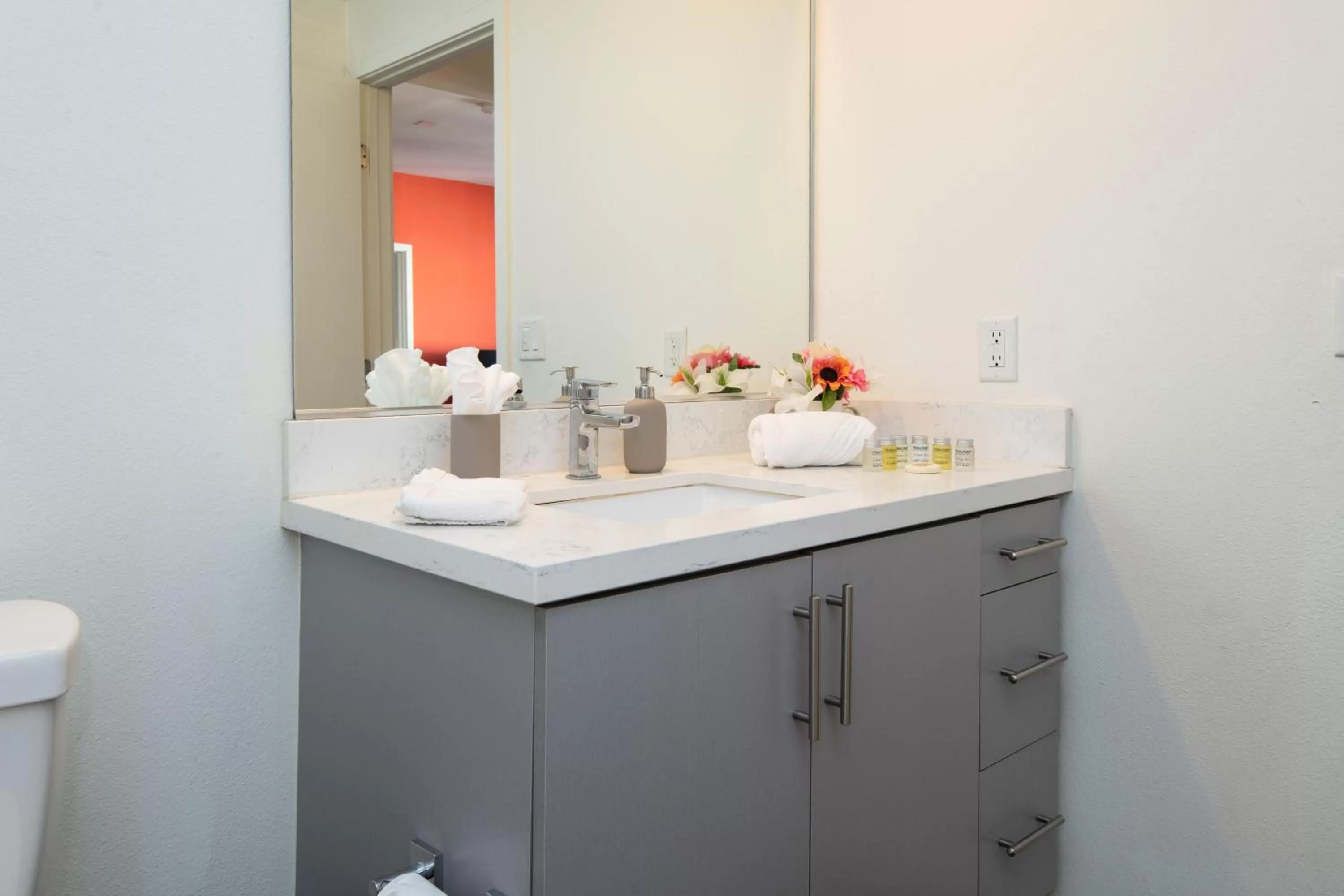 Modern Apartment Rentals