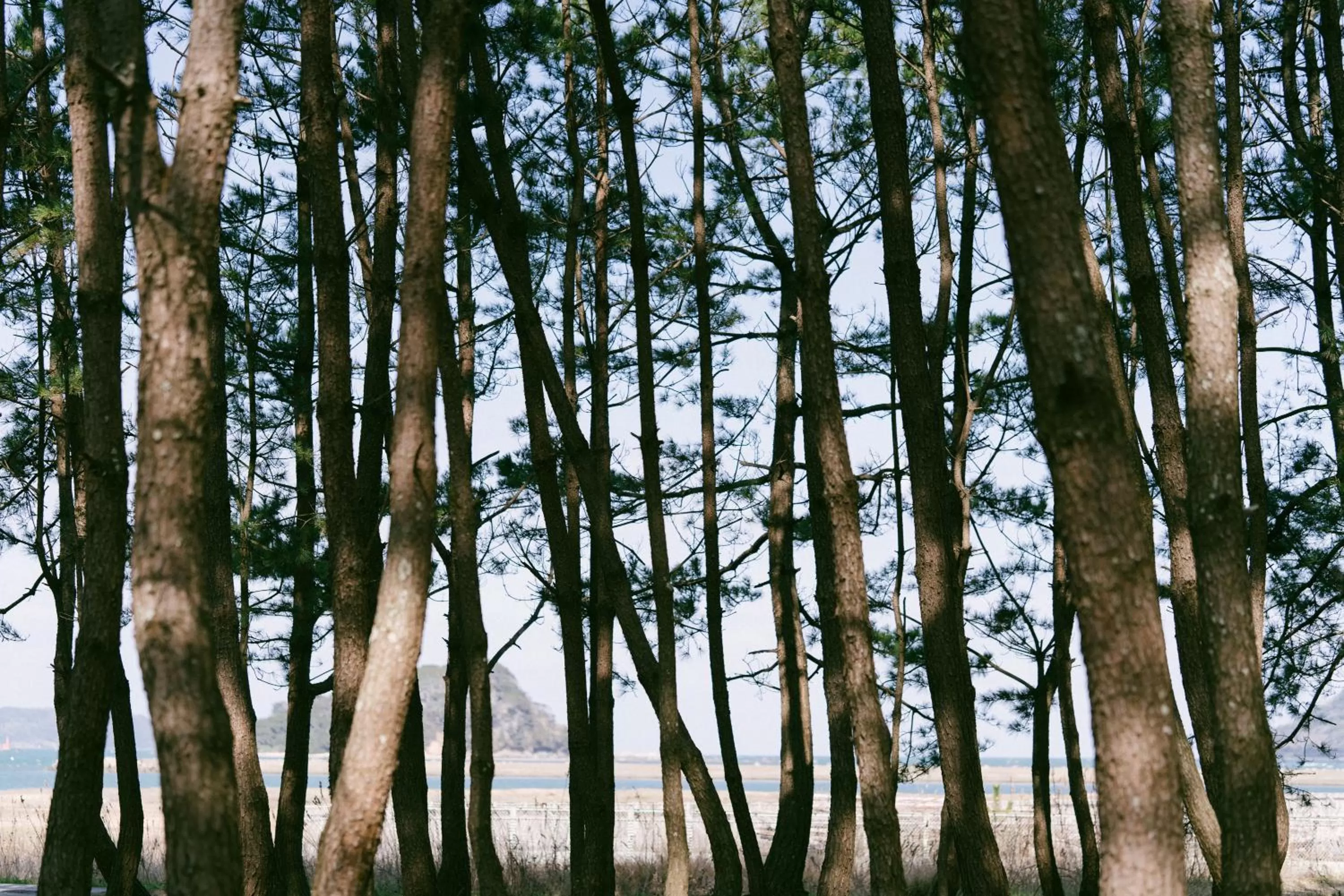 Area and facilities in HOTEL KARAE