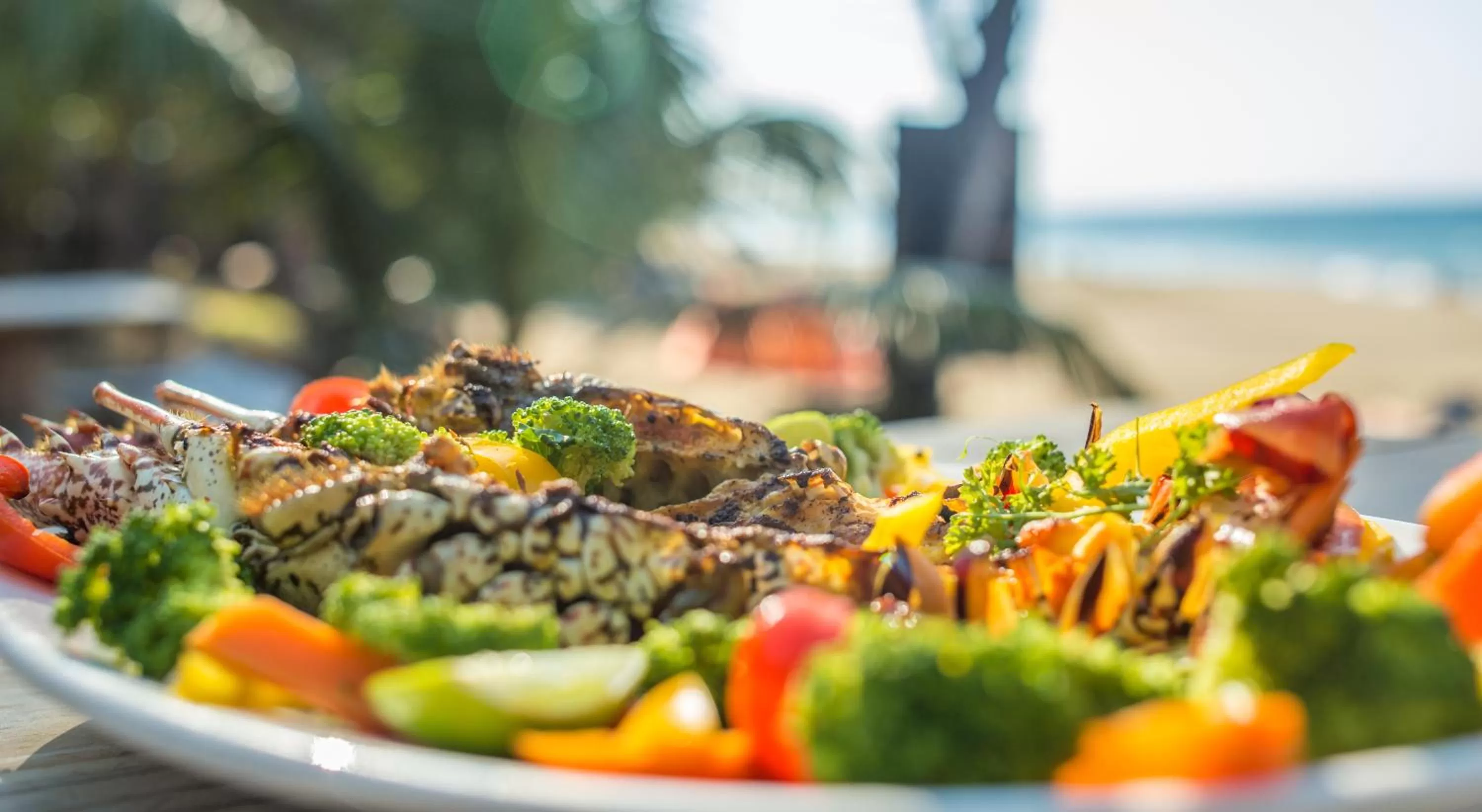 Cabarete Maravilla Eco Lodge Boutique Beach Surf Encuentro, Kite, by AA Crypto Group